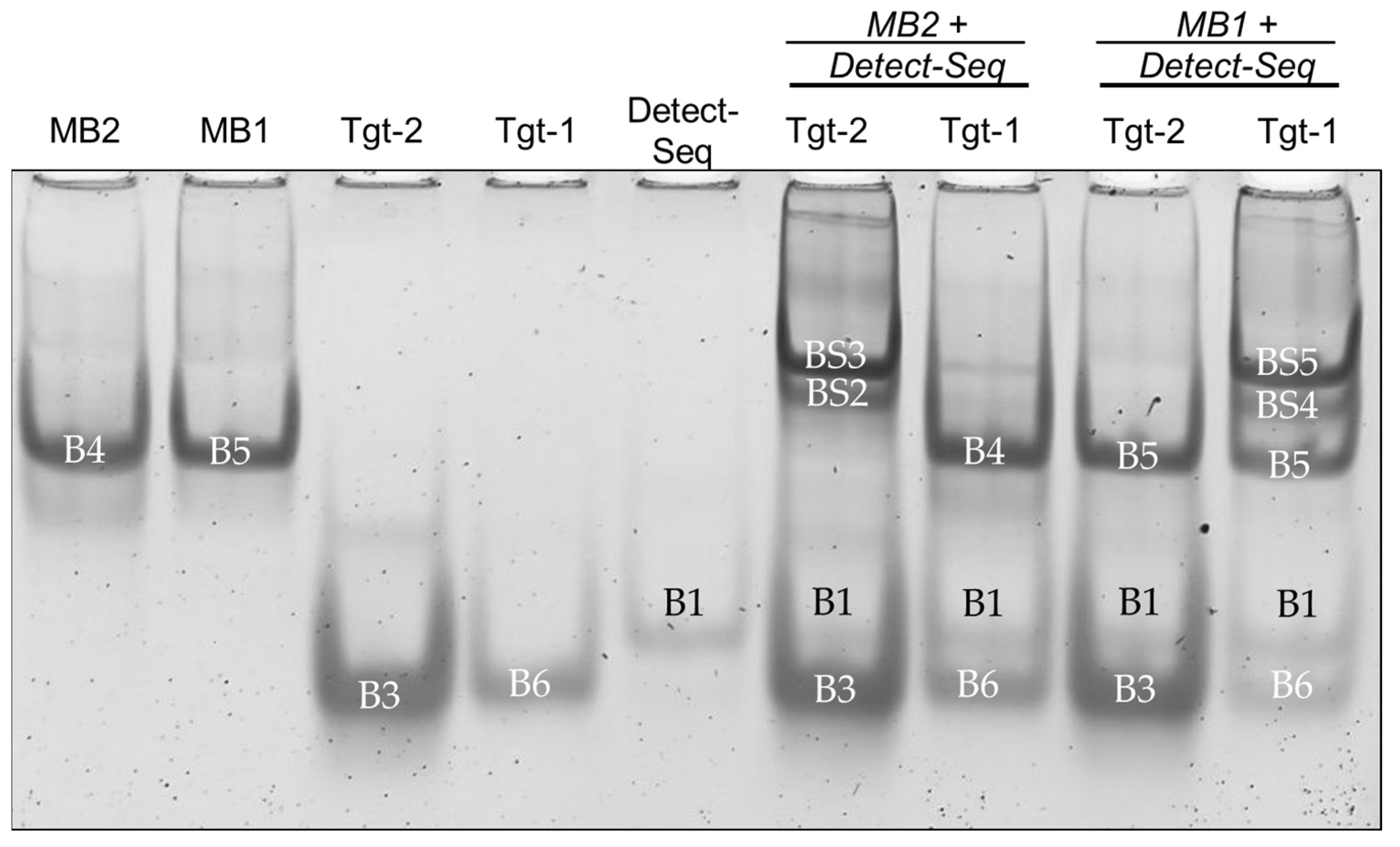 Biosensors 14 00430 g005