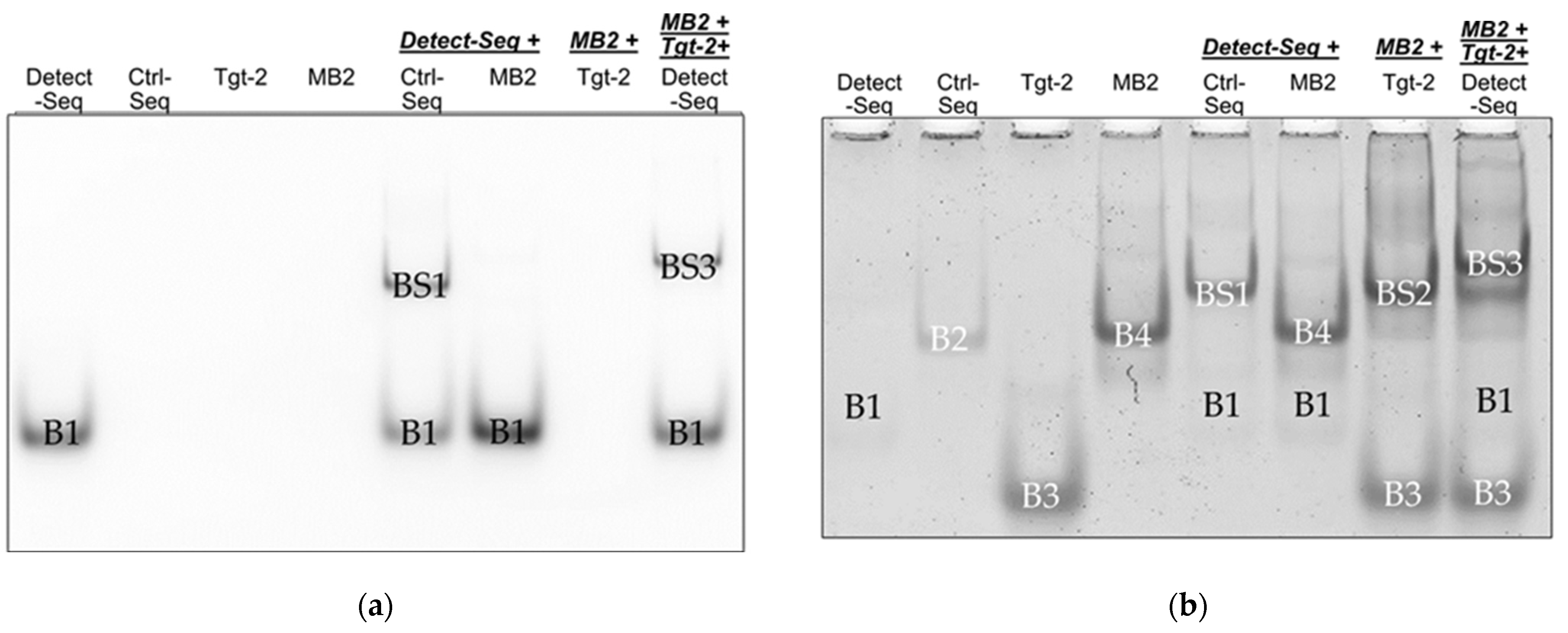 Biosensors 14 00430 g006
