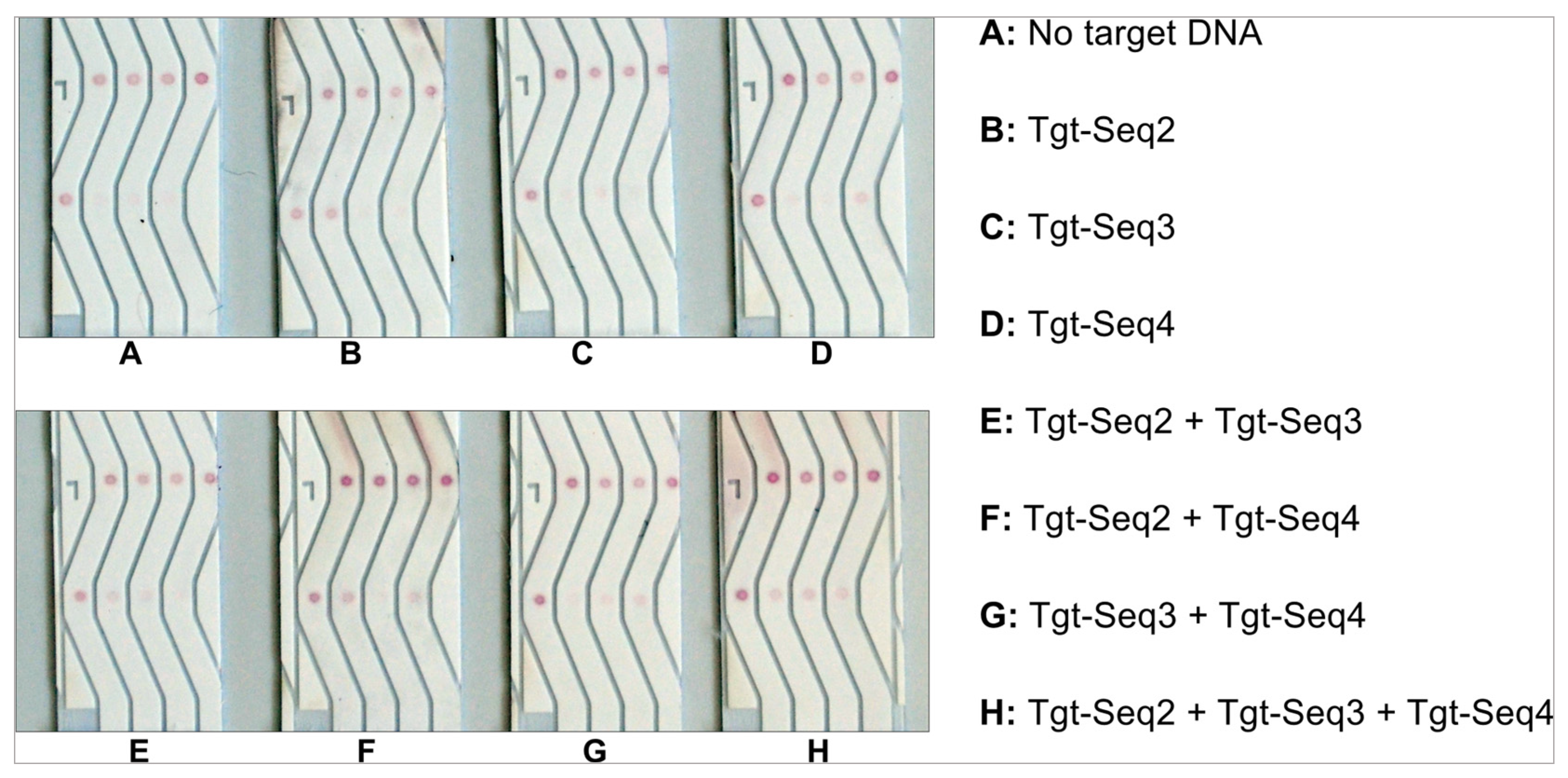 Biosensors 14 00430 g012