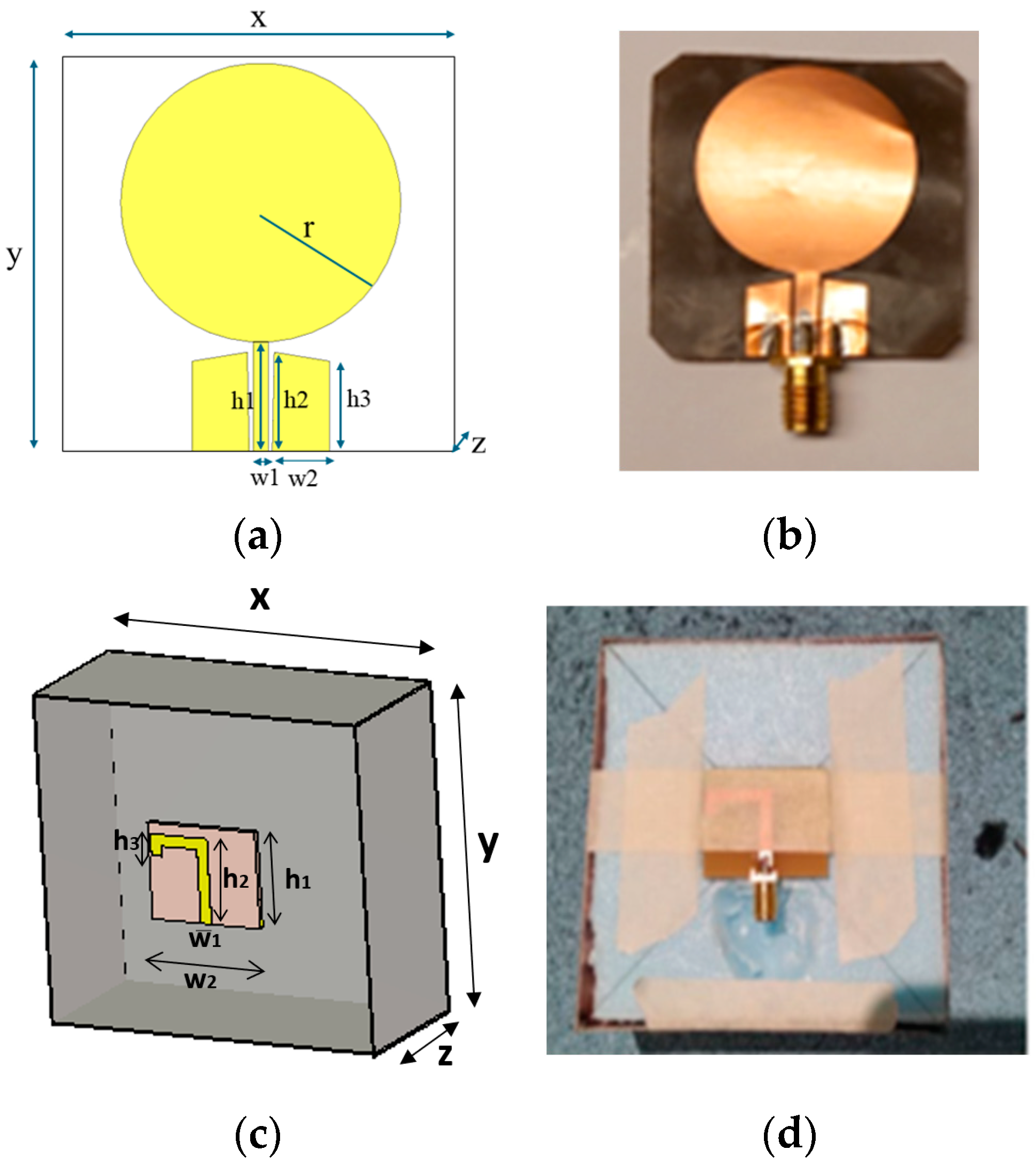 Biosensors 14 00434 g001