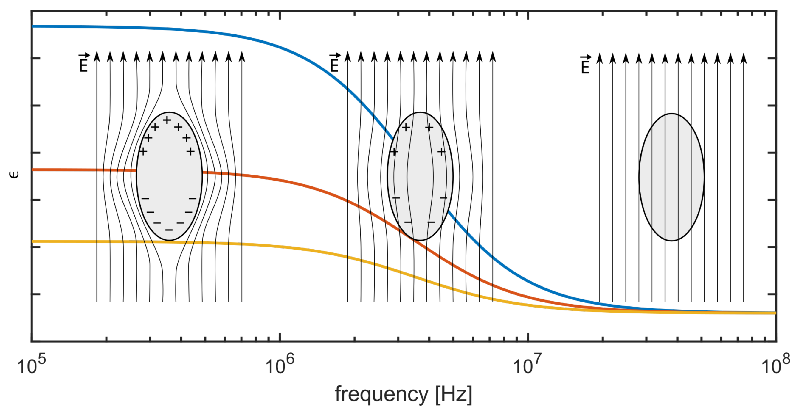 Biosensors 14 00438 g001 Biosensors 14 00438 g001