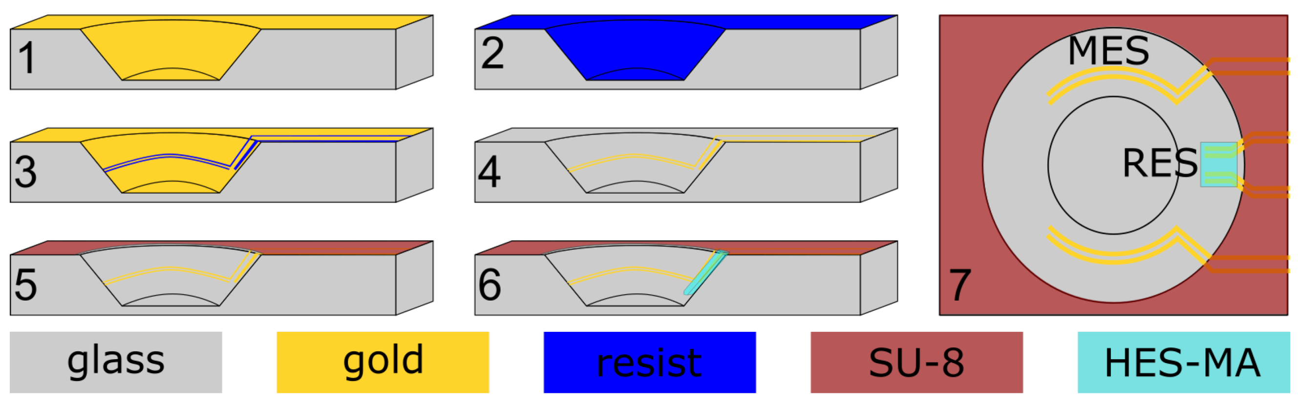 Biosensors 14 00438 g002 Biosensors 14 00438 g002