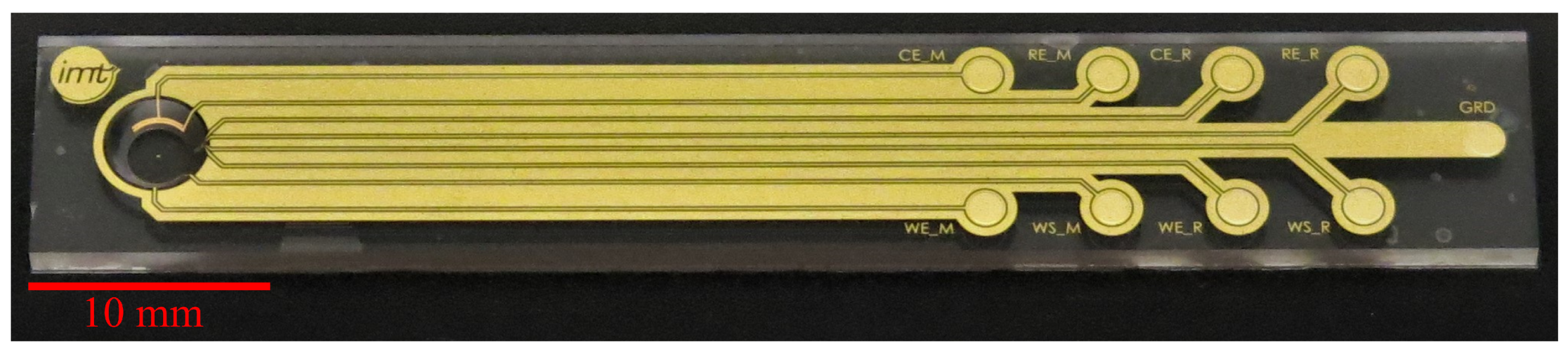 Biosensors 14 00438 g004 Biosensors 14 00438 g004