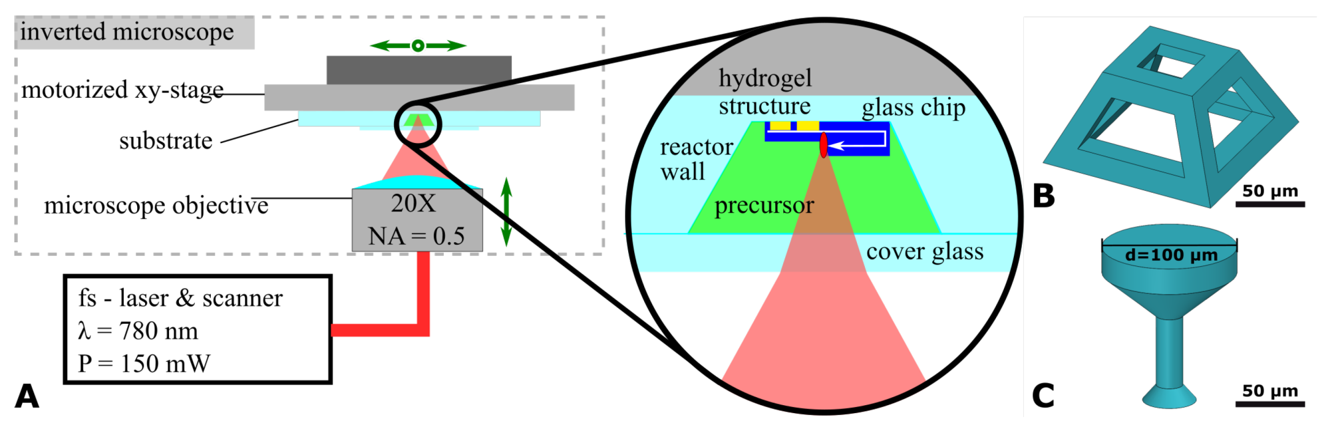 Biosensors 14 00438 g0a1 Biosensors 14 00438 g0a1