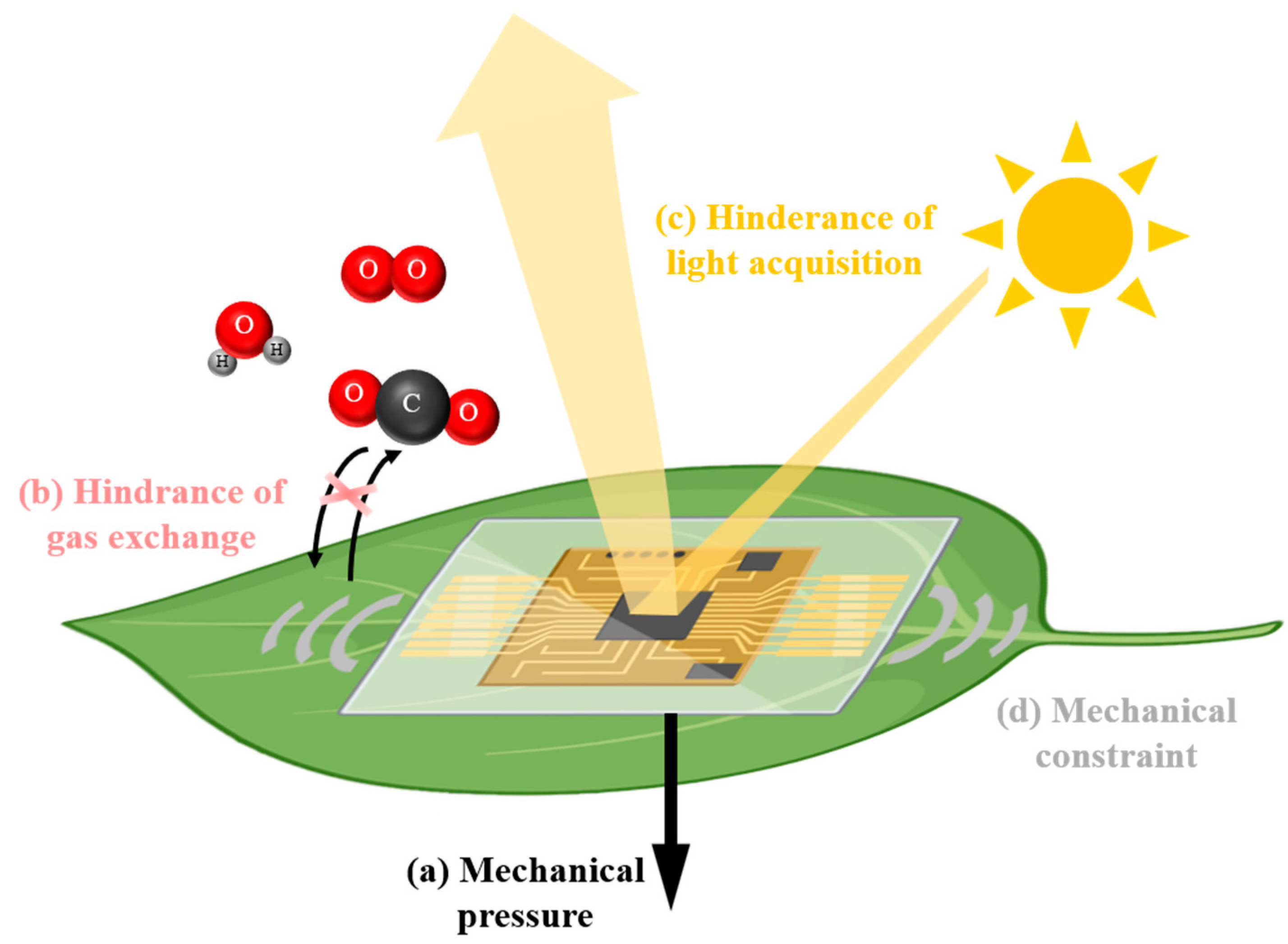 Biosensors 14 00439 g001
