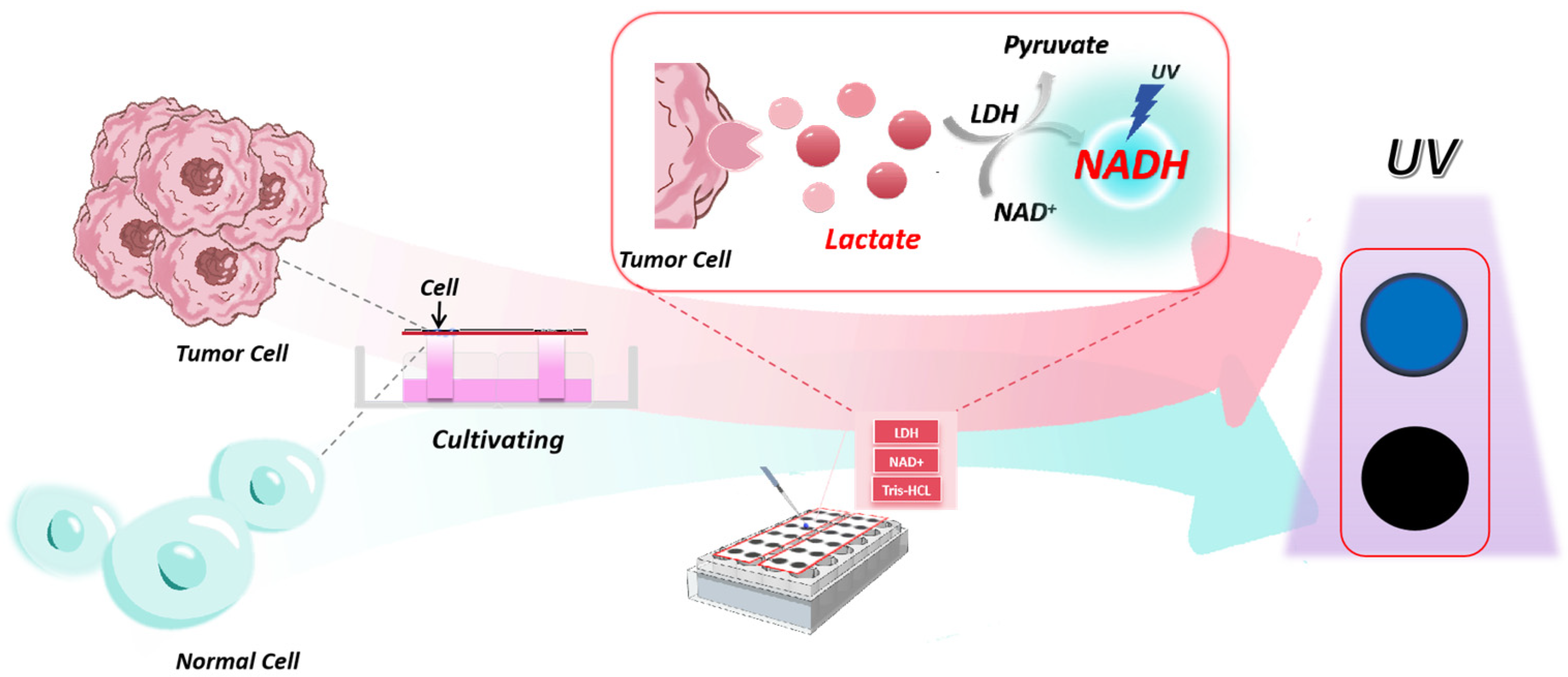 Biosensors 14 00442 g001