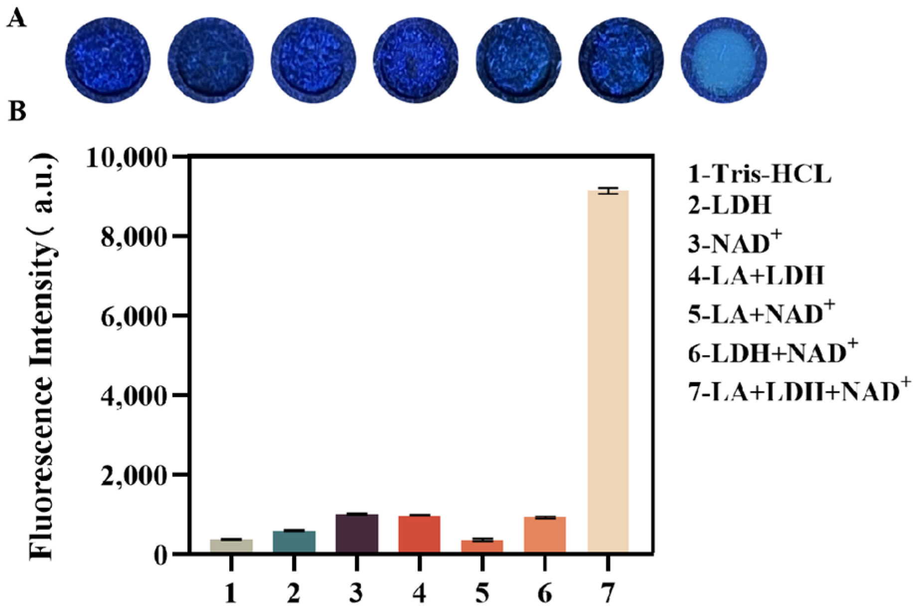 Biosensors 14 00442 g002