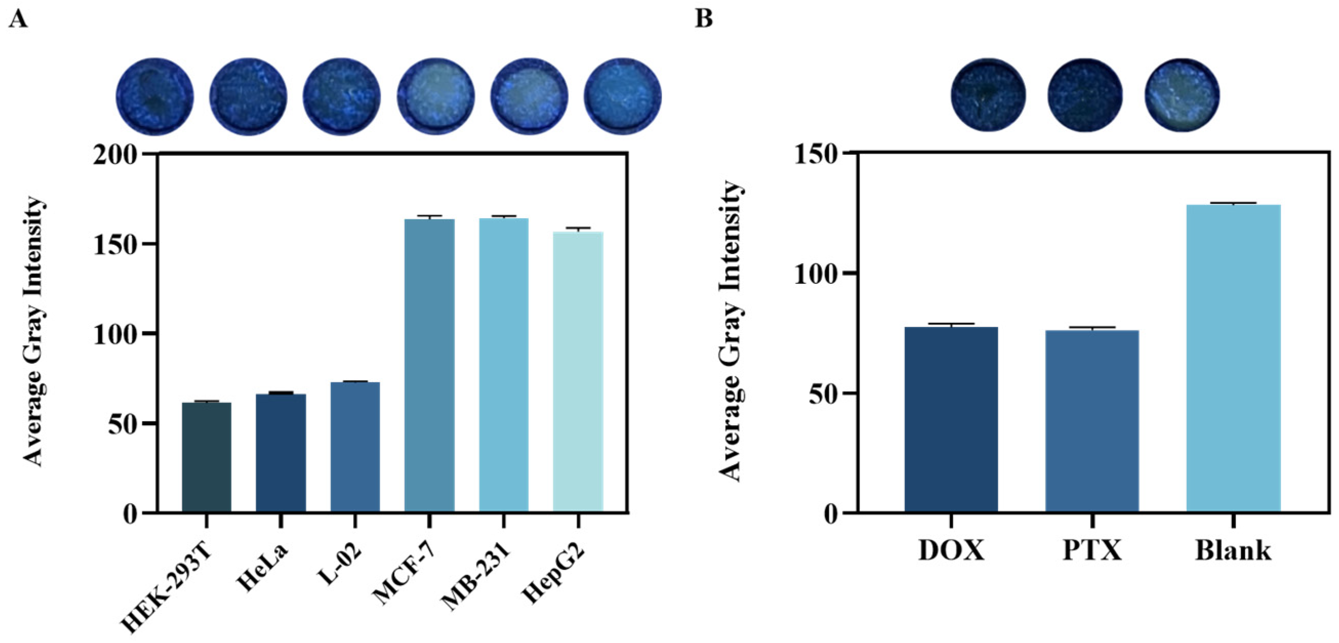 Biosensors 14 00442 g005