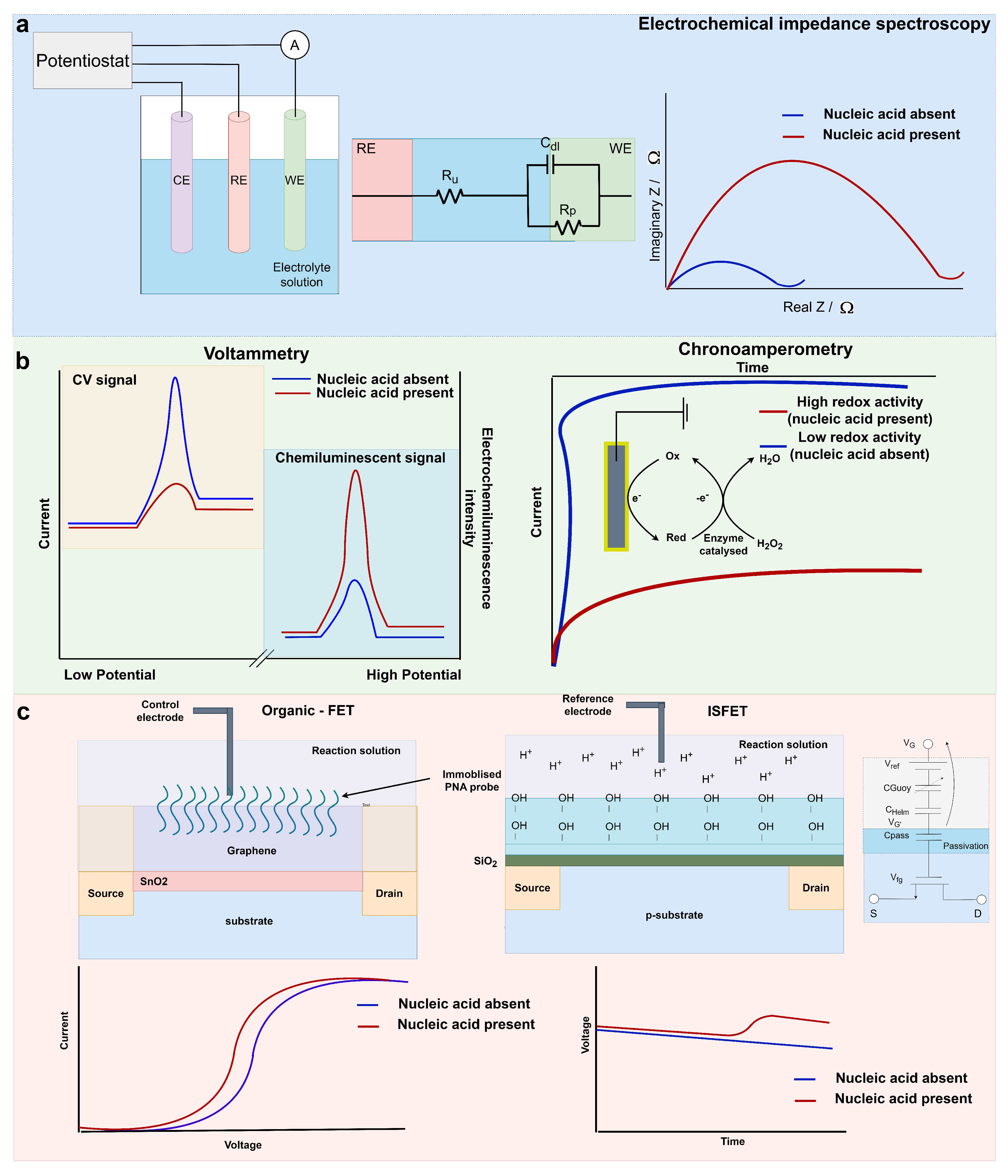 Biosensors 14 00443 g002