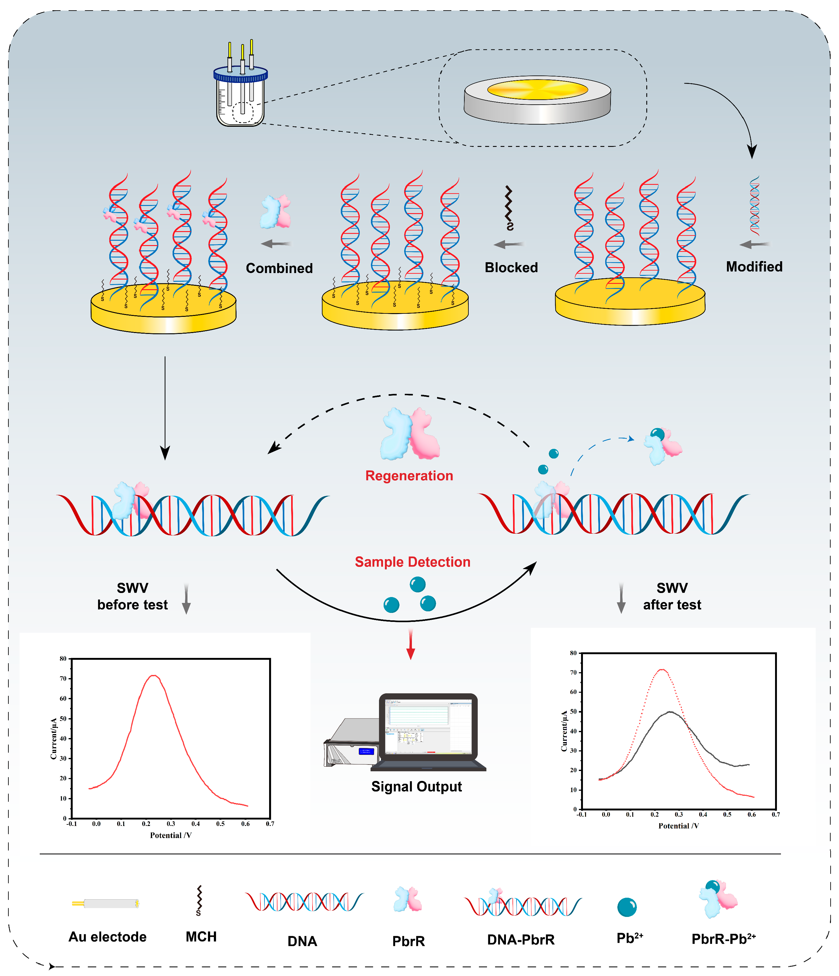 Biosensors 14 00446 g001
