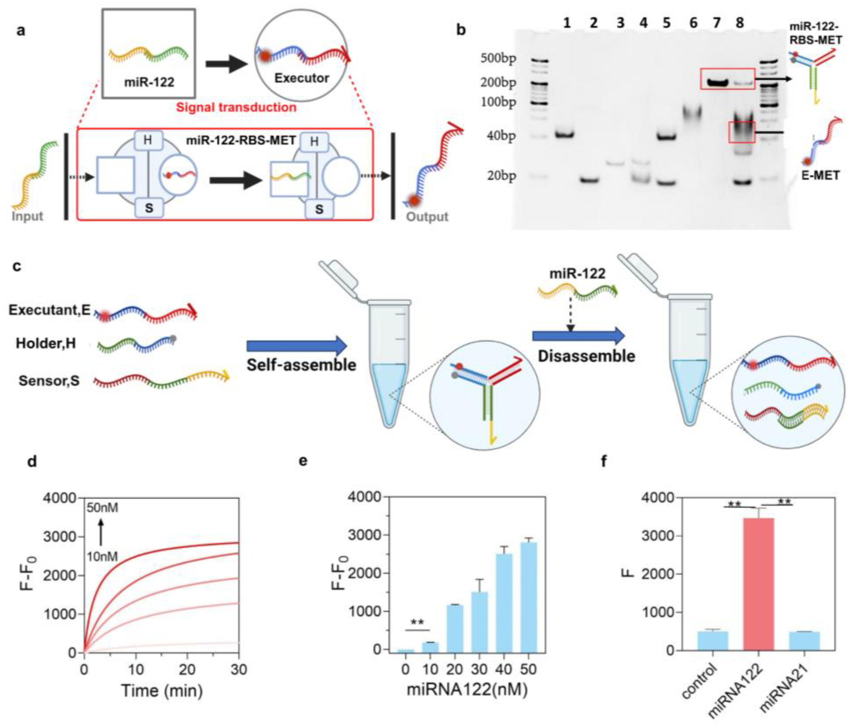 Biosensors 14 00450 g001