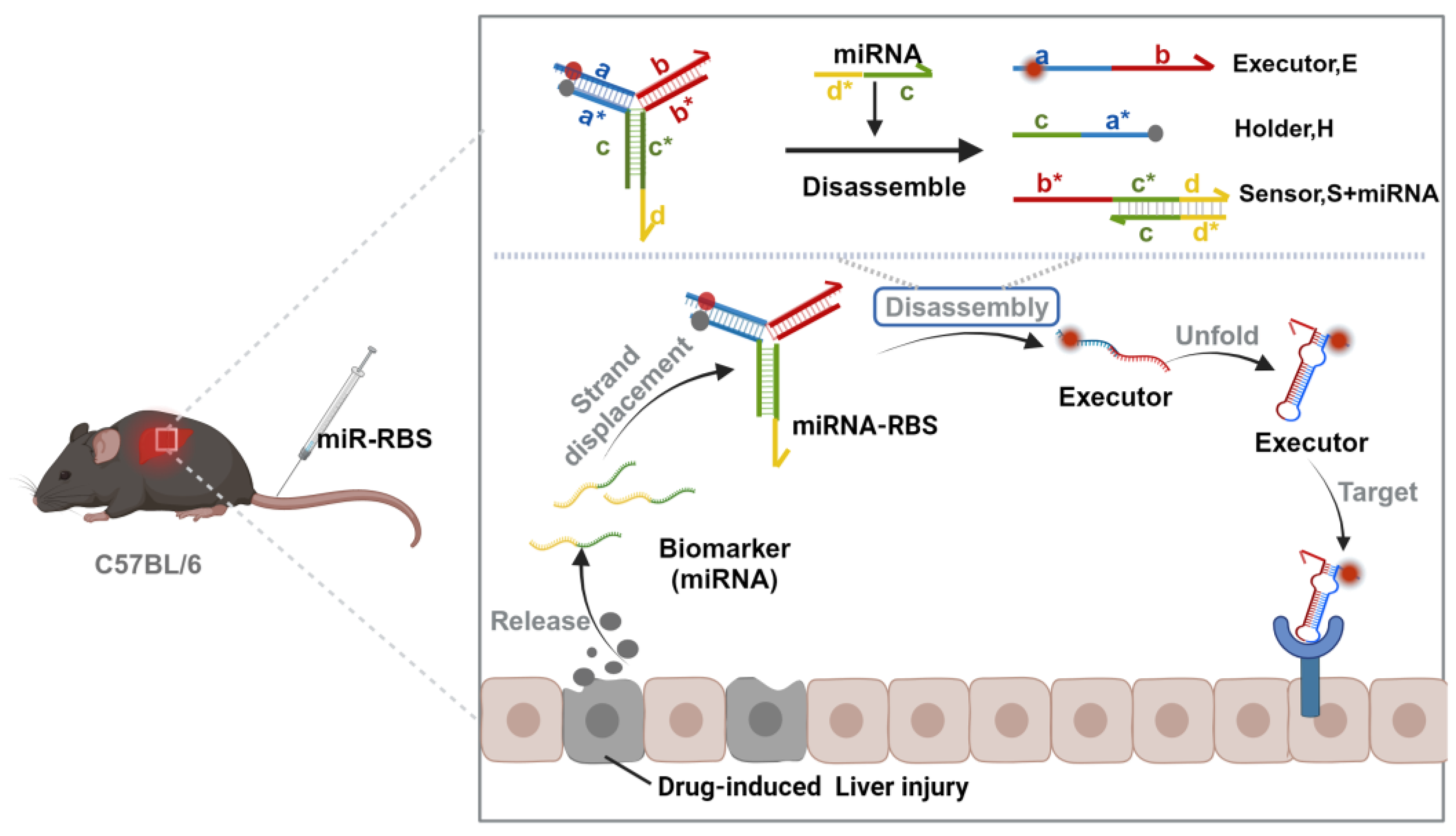 Biosensors 14 00450 sch001