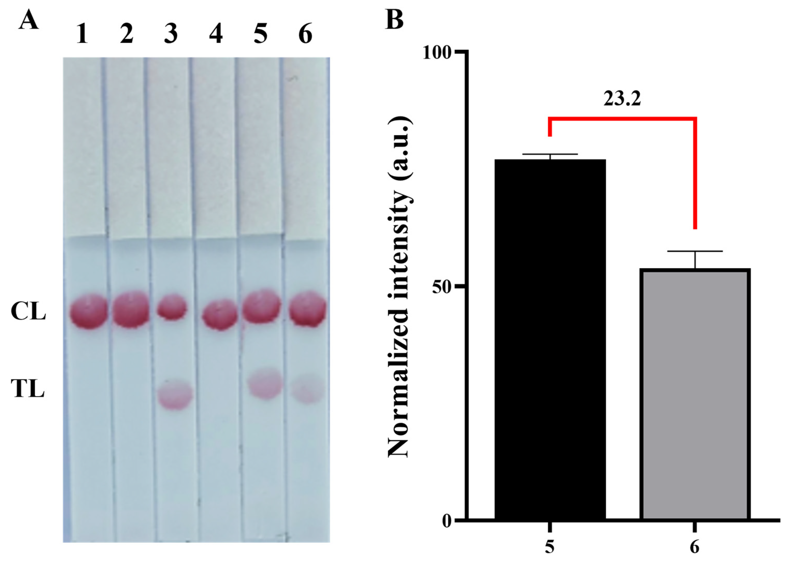 Biosensors 14 00454 g001