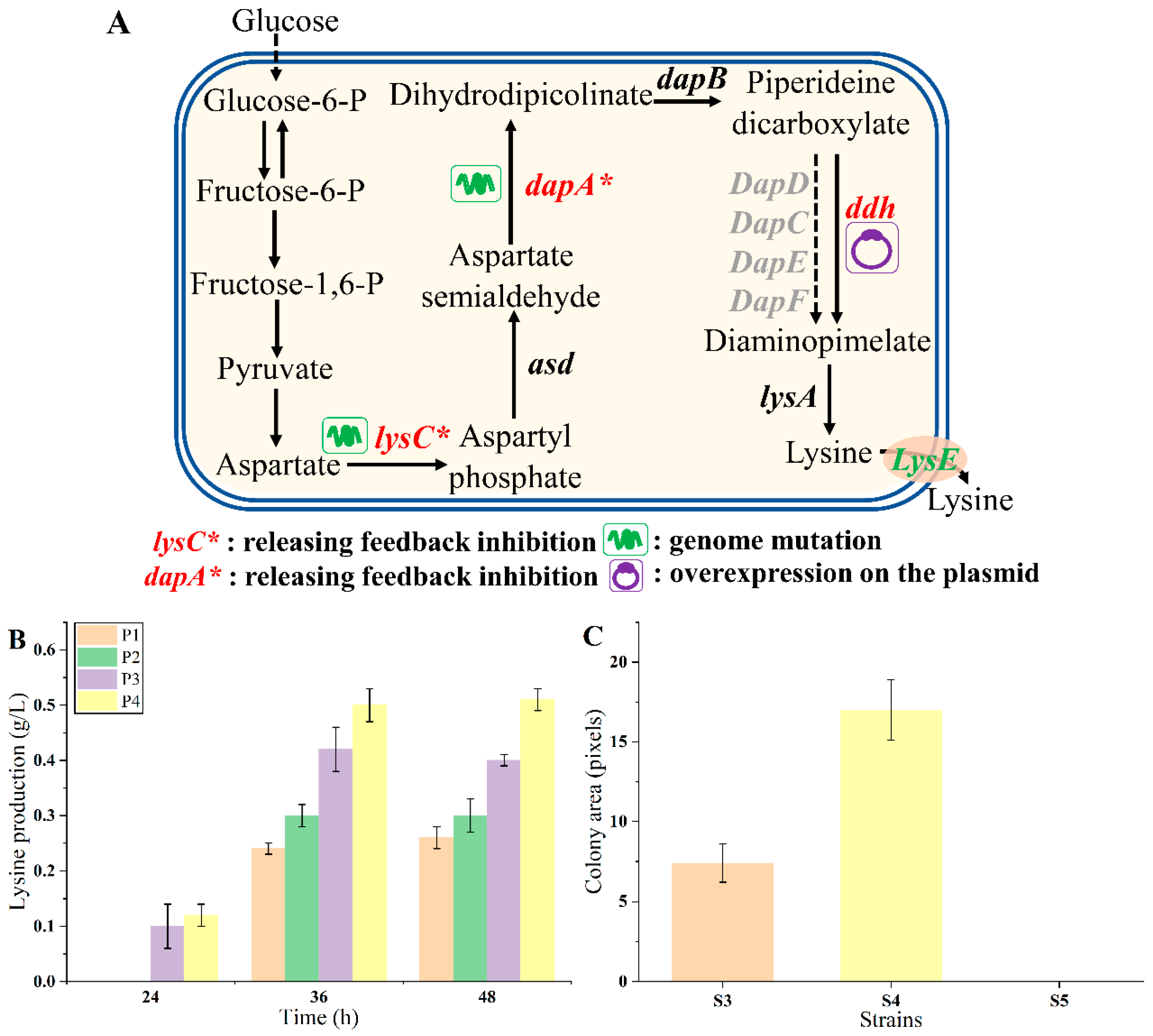 Biosensors 14 00455 g004 Biosensors 14 00455 g004