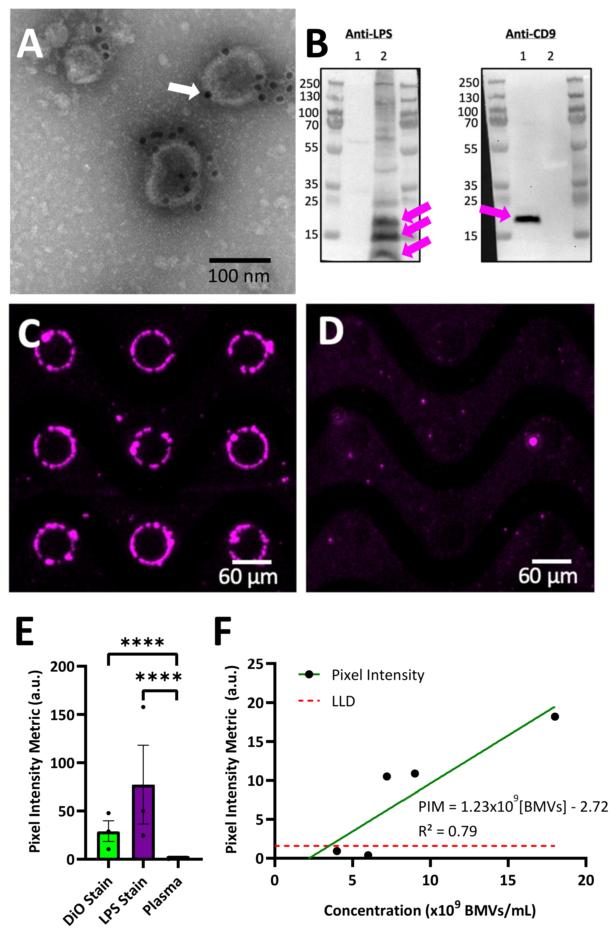 Biosensors 14 00456 g004