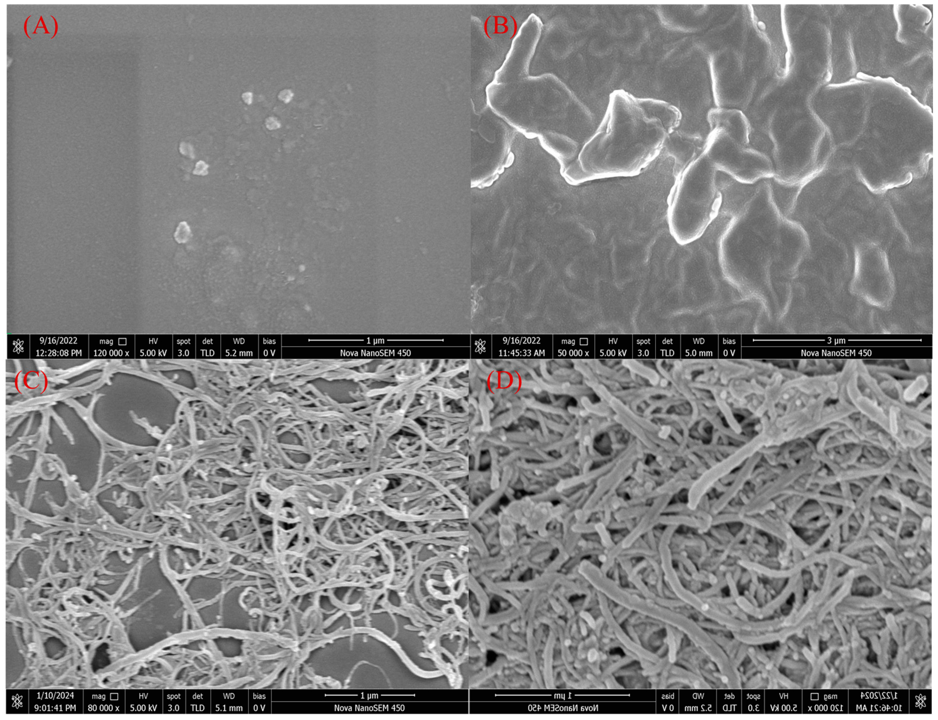 Biosensors 14 00457 g001