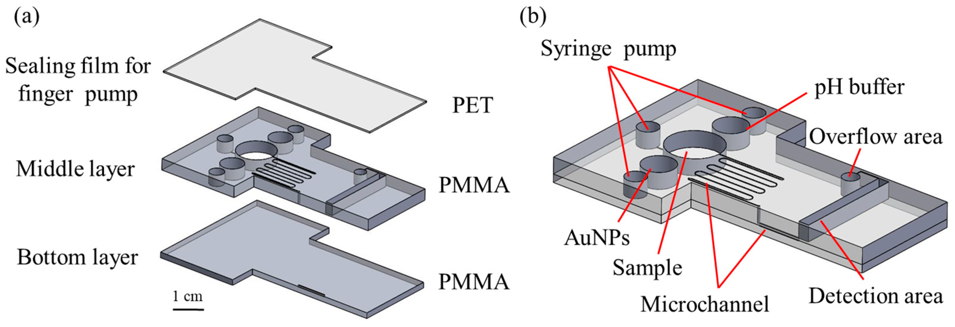 Biosensors 14 00462 g001
