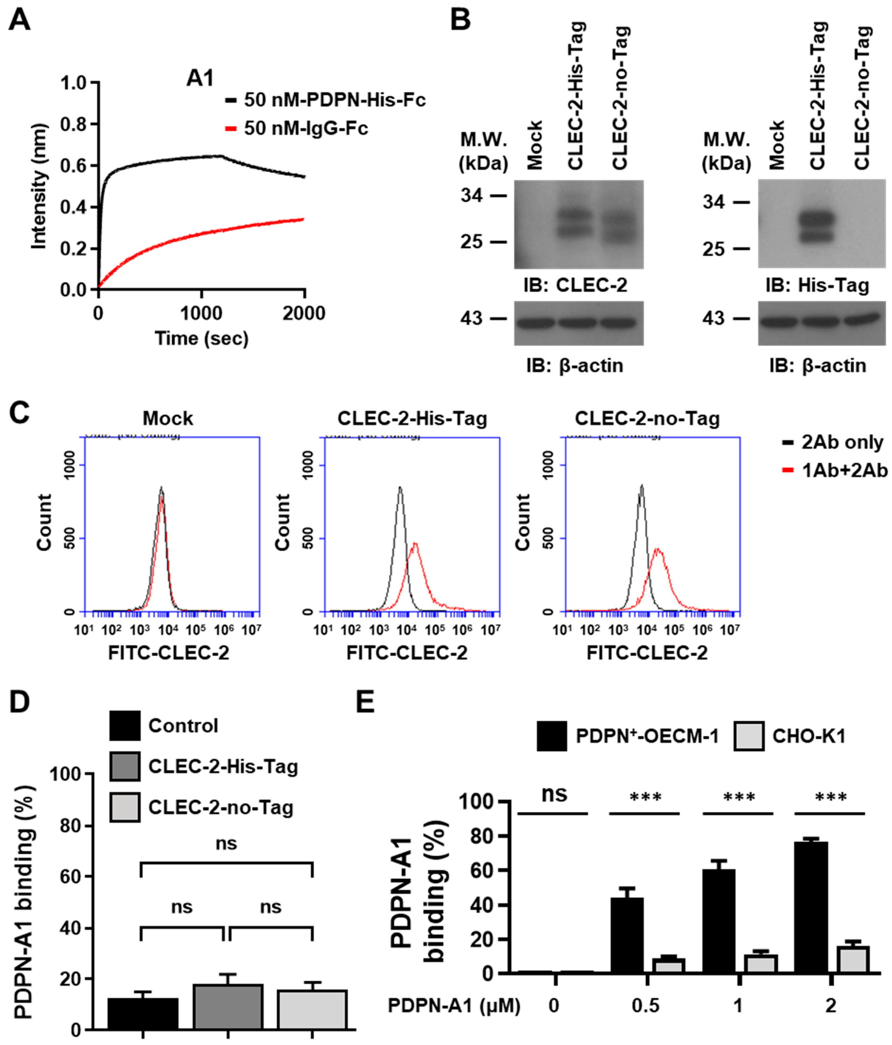 Biosensors 14 00464 g005 Biosensors 14 00464 g005