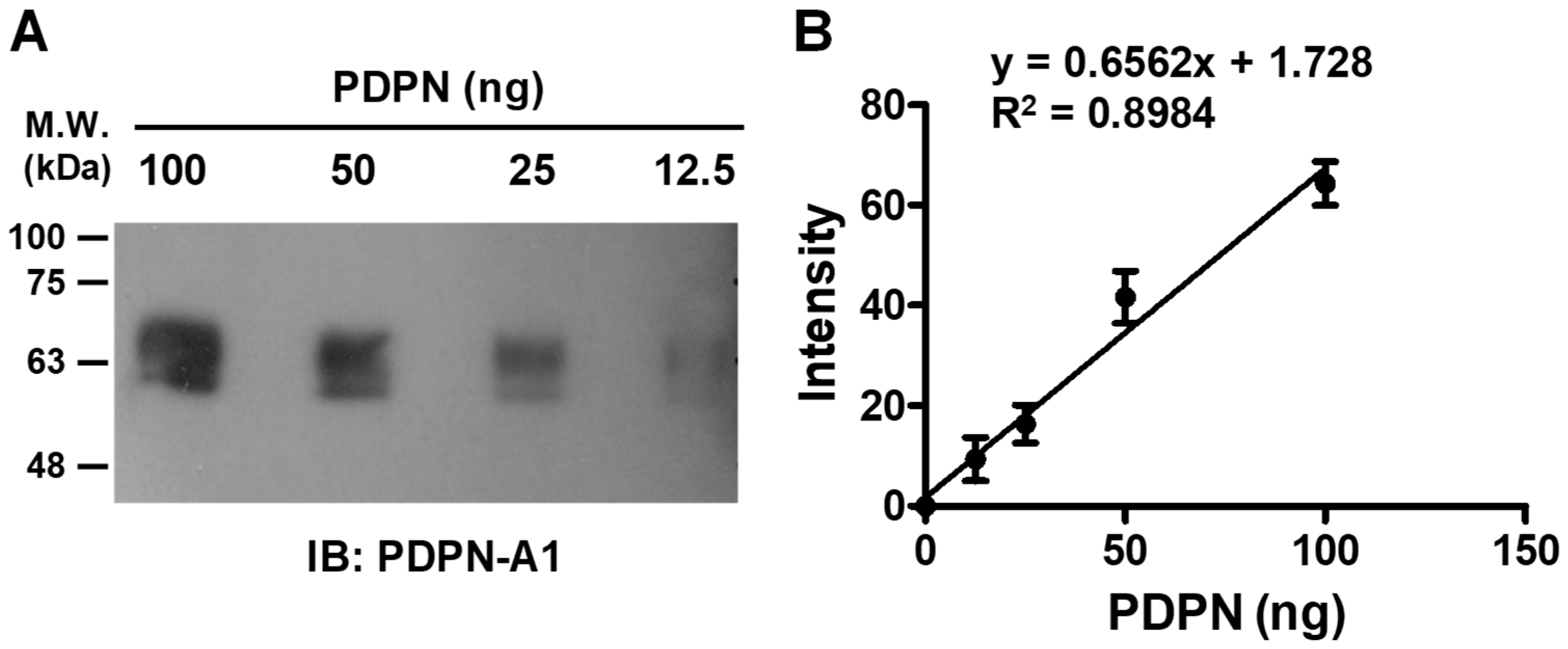 Biosensors 14 00464 g006 Biosensors 14 00464 g006
