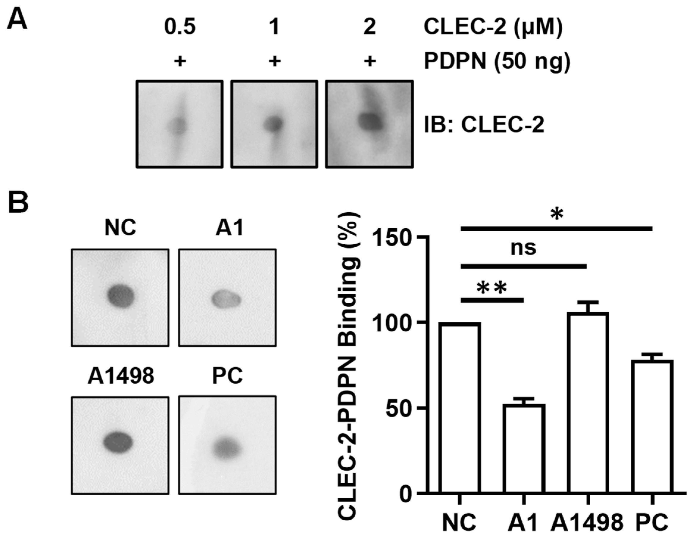 Biosensors 14 00464 g007 Biosensors 14 00464 g007
