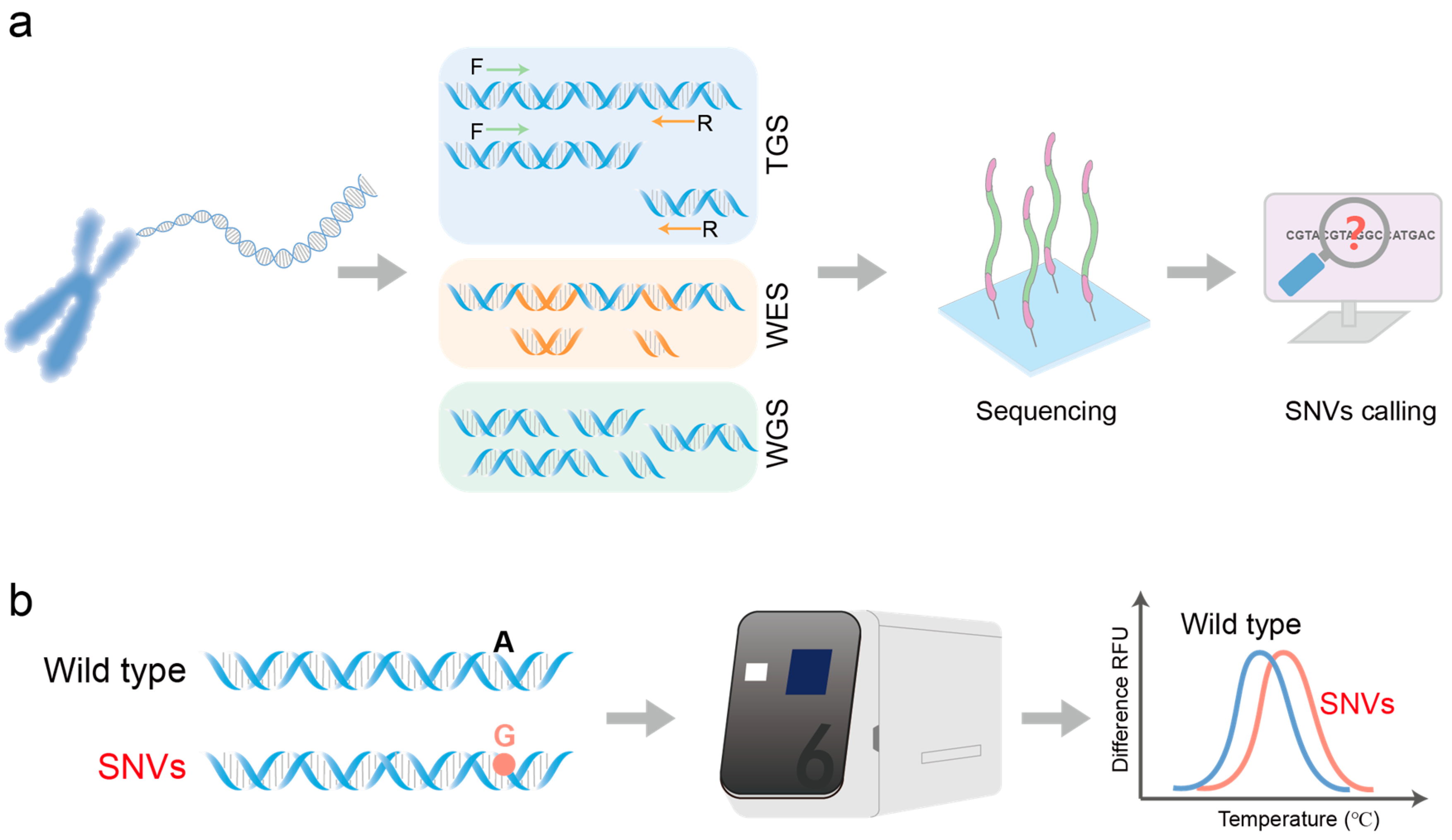 Biosensors 14 00465 g002
