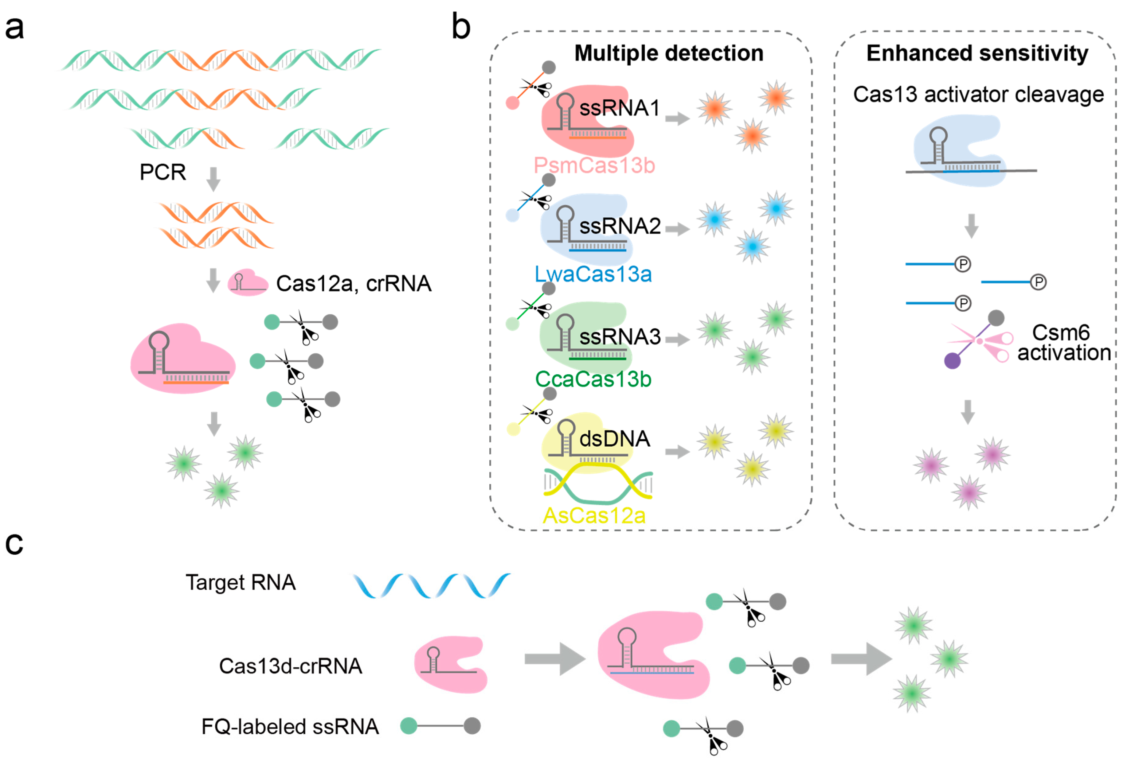 Biosensors 14 00465 g005