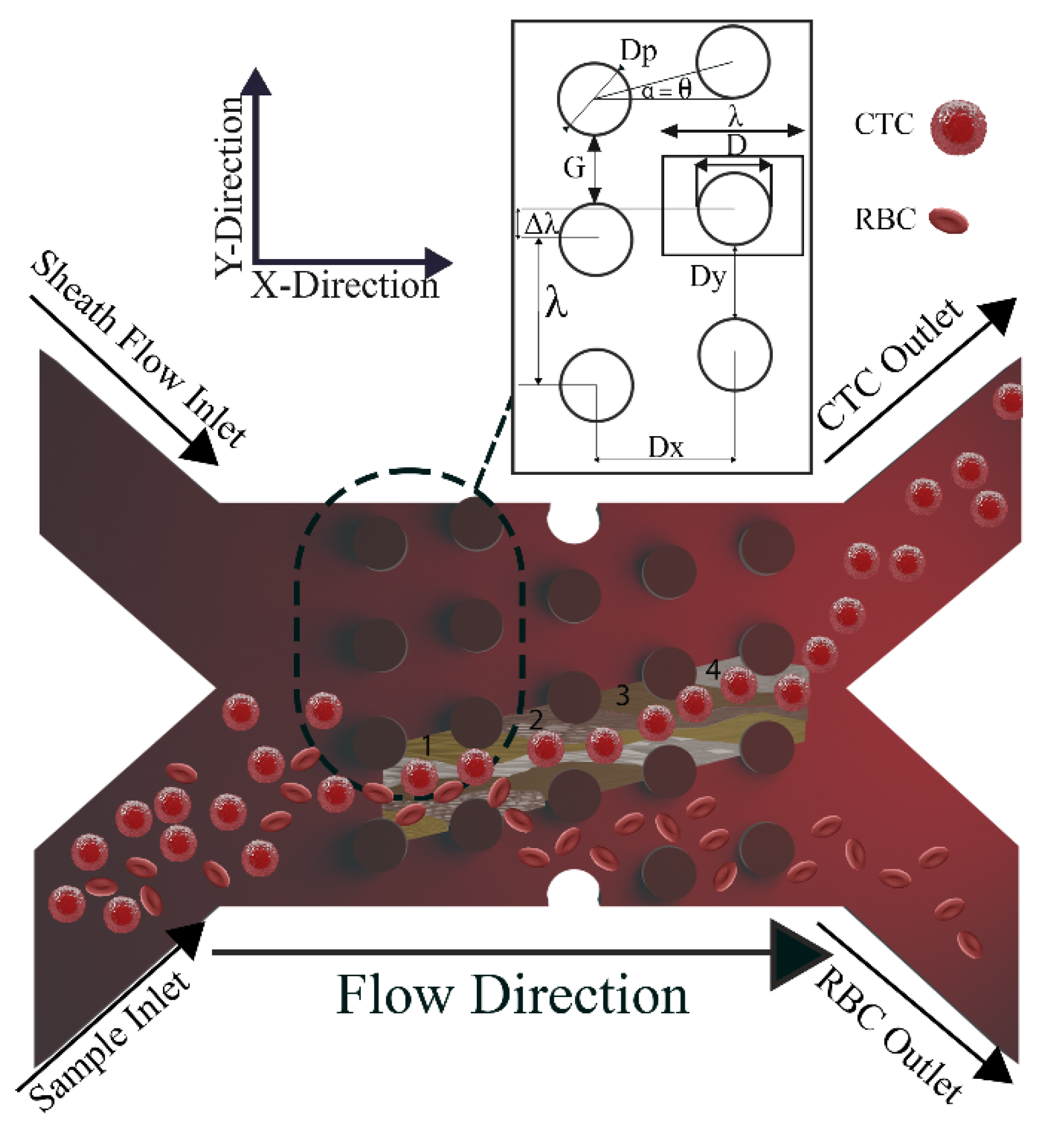 Biosensors 14 00466 g001