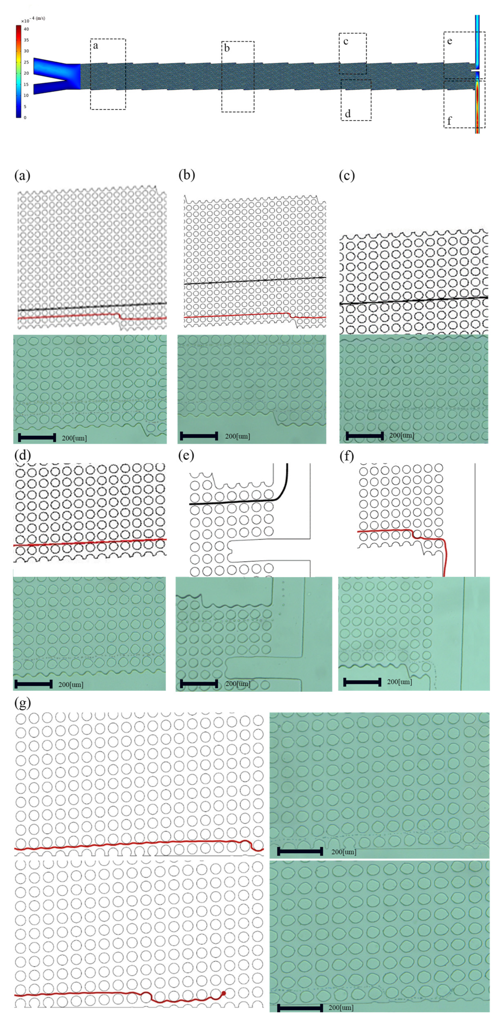 Biosensors 14 00466 g003