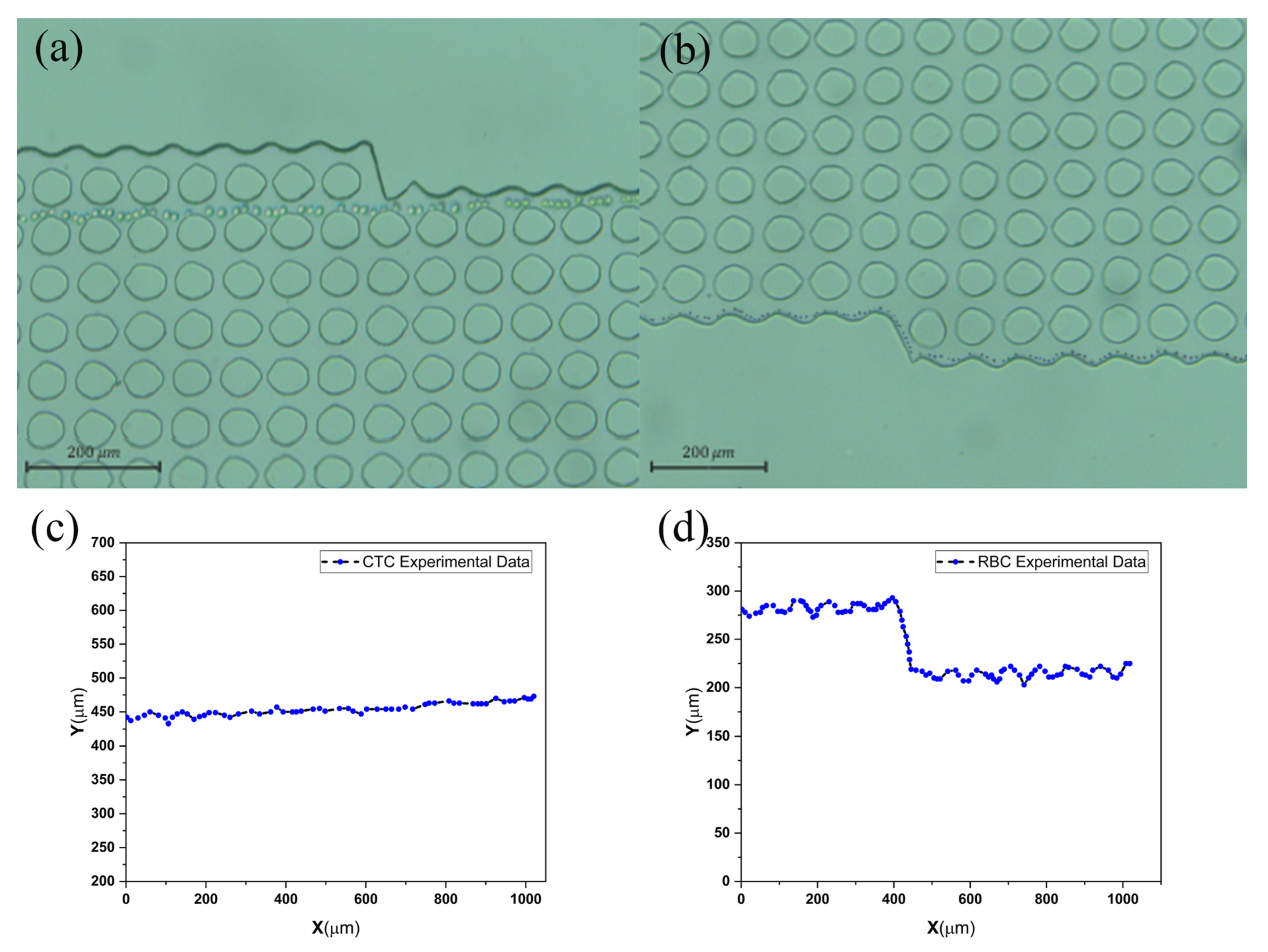 Biosensors 14 00466 g004