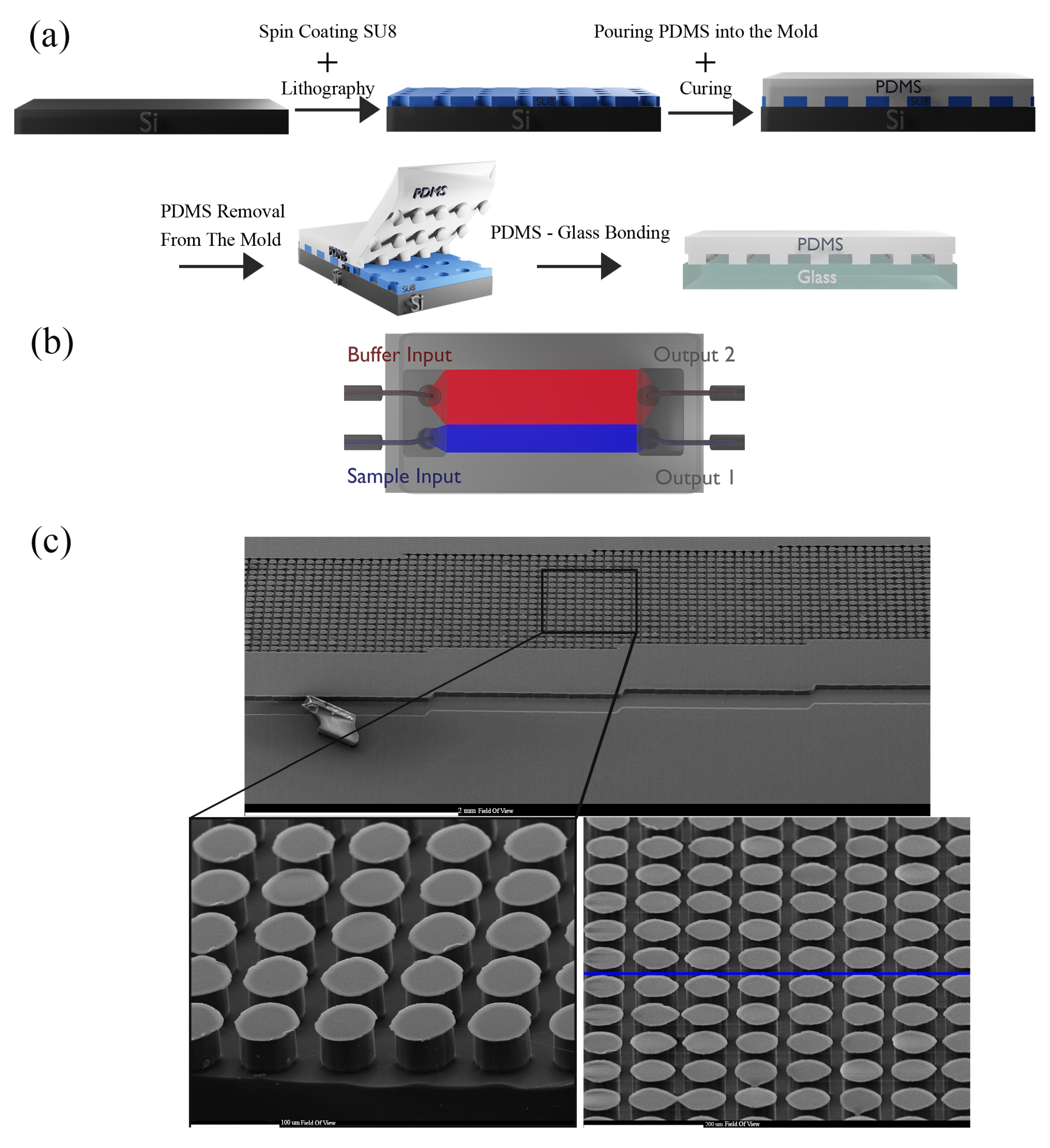 Biosensors 14 00466 g005