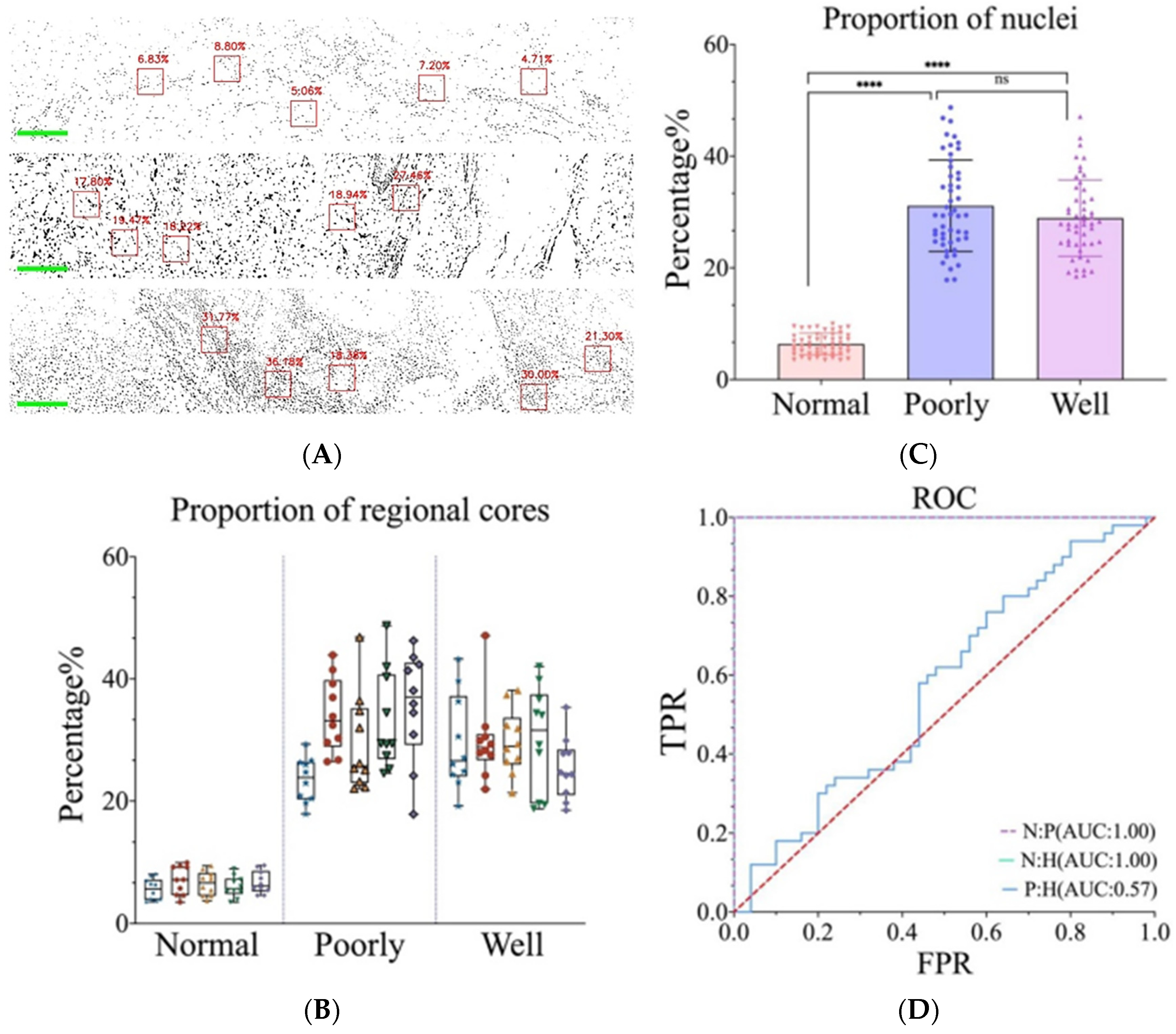 Biosensors 14 00467 g004 Biosensors 14 00467 g004