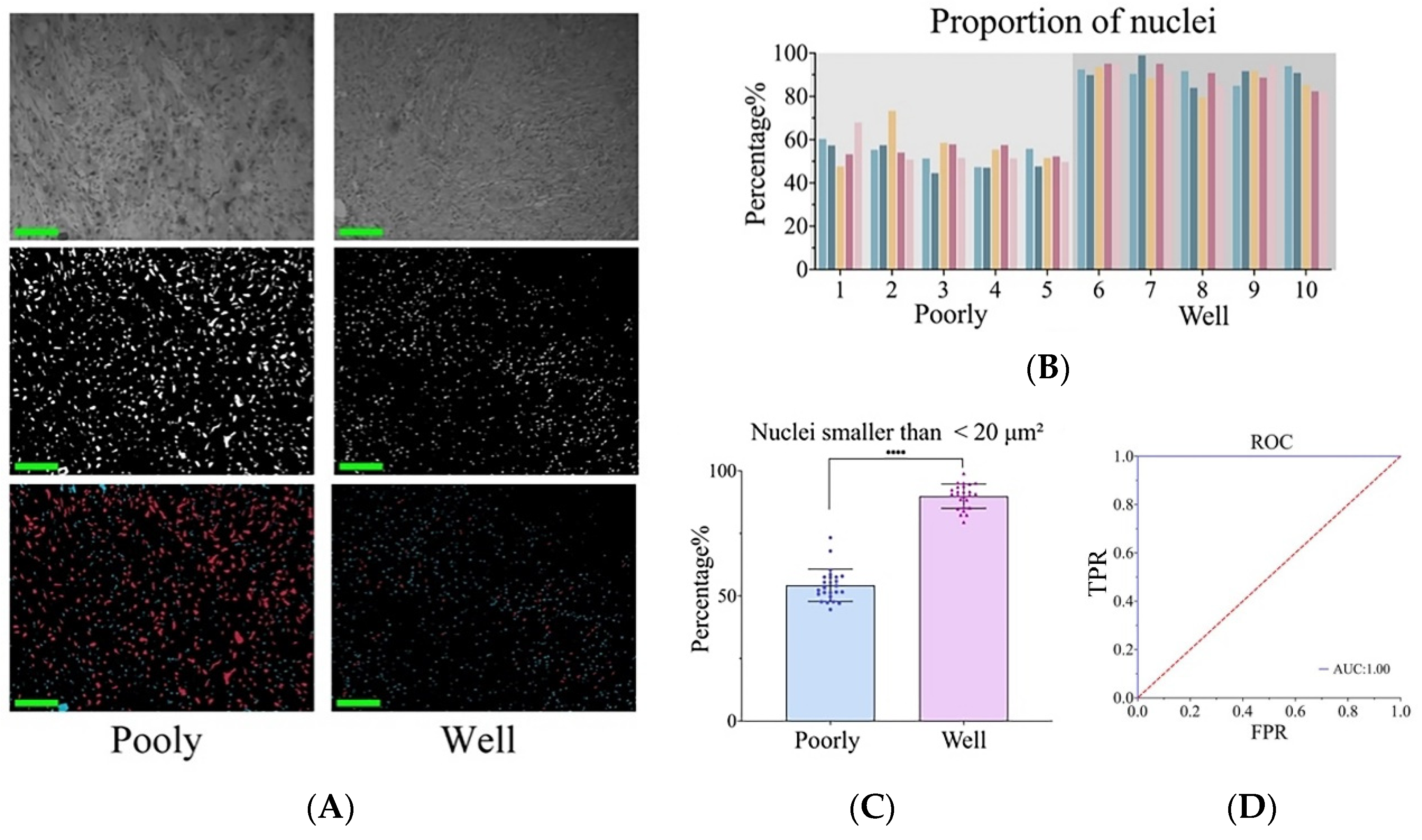 Biosensors 14 00467 g005 Biosensors 14 00467 g005