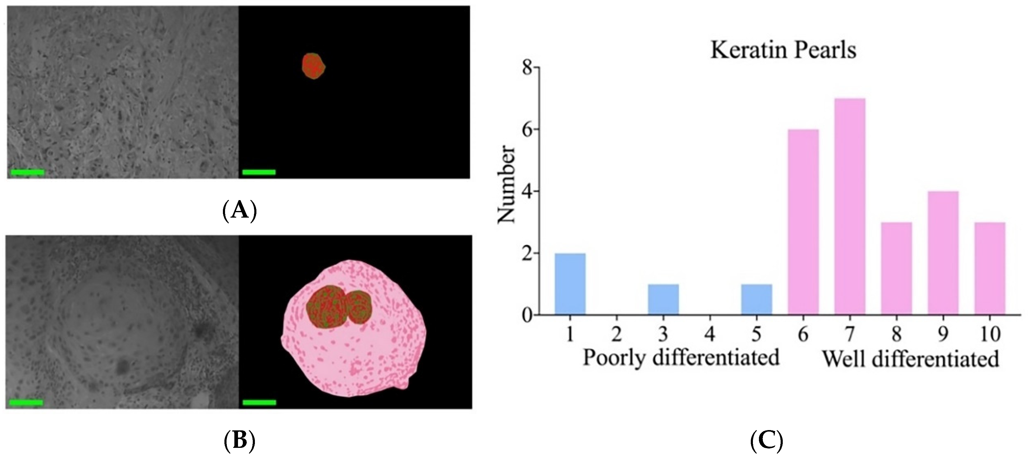 Biosensors 14 00467 g006 Biosensors 14 00467 g006