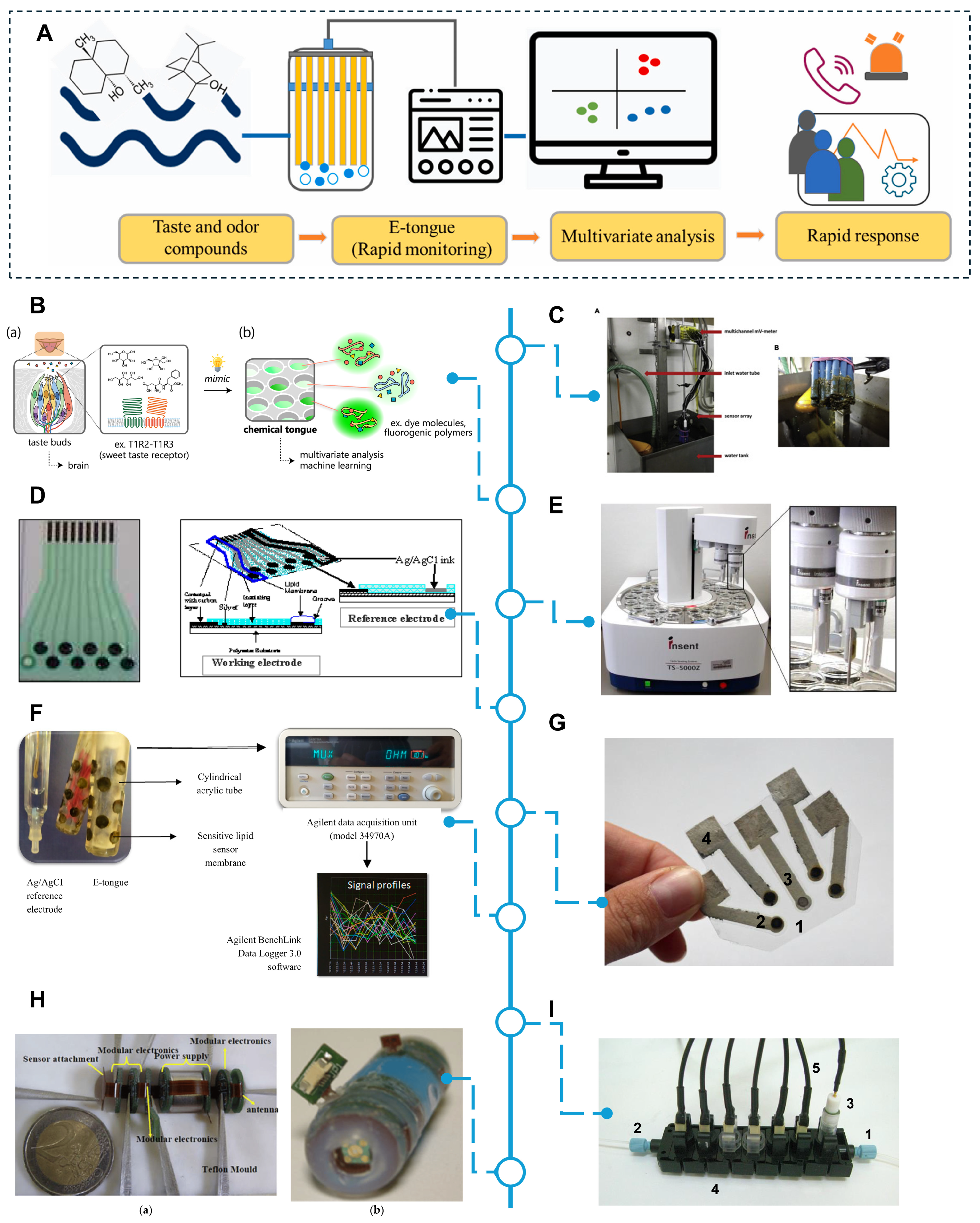 Biosensors 14 00468 g003 Biosensors 14 00468 g003