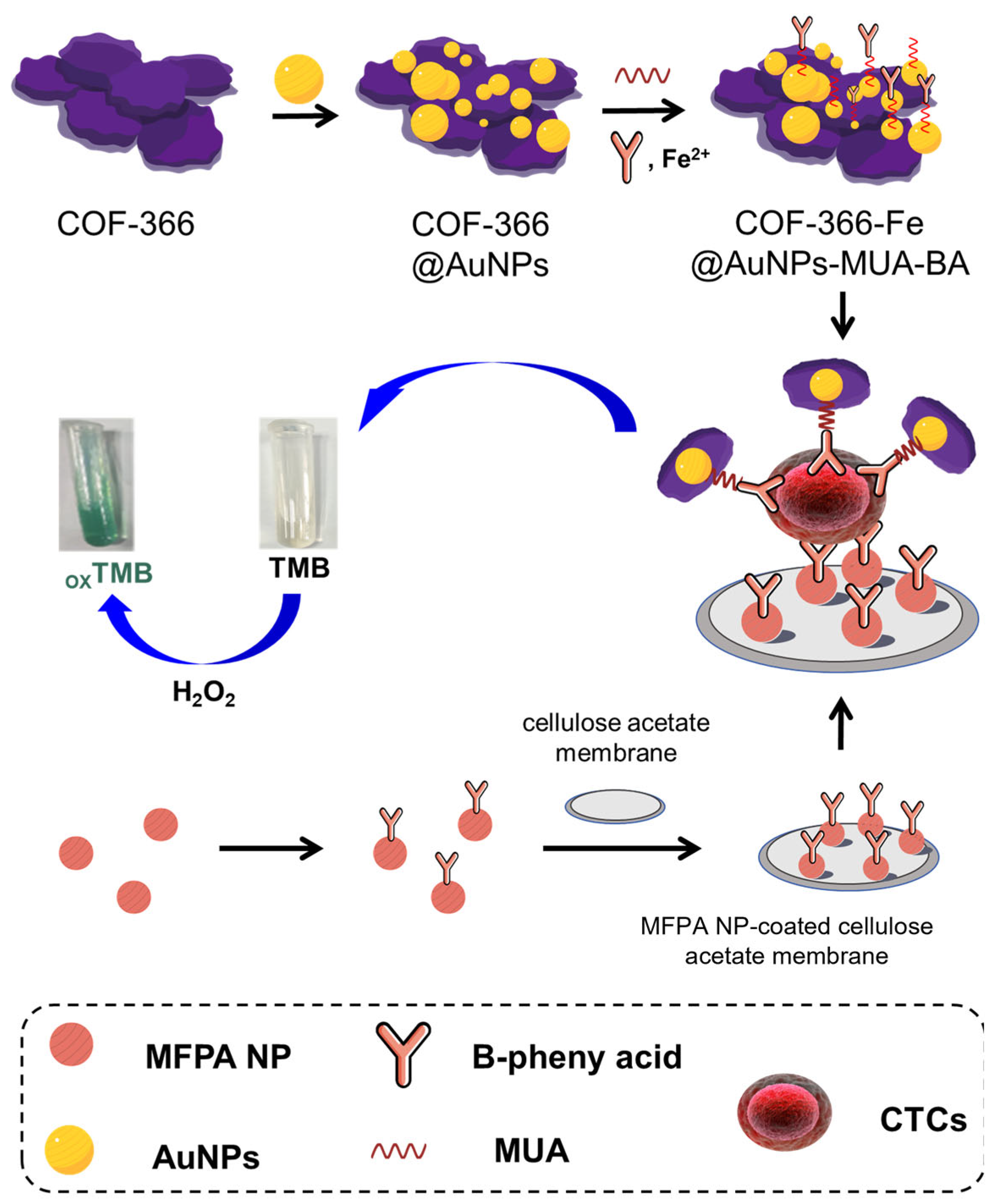 Biosensors 14 00472 g001