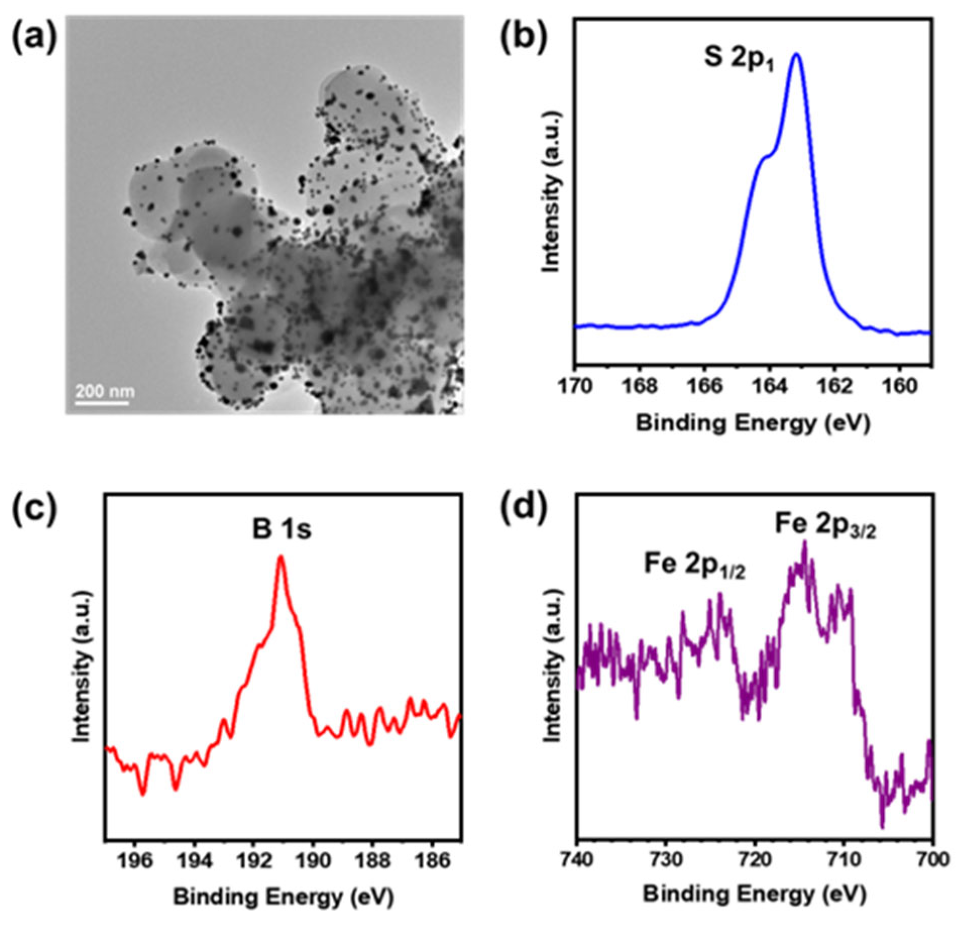 Biosensors 14 00472 g005