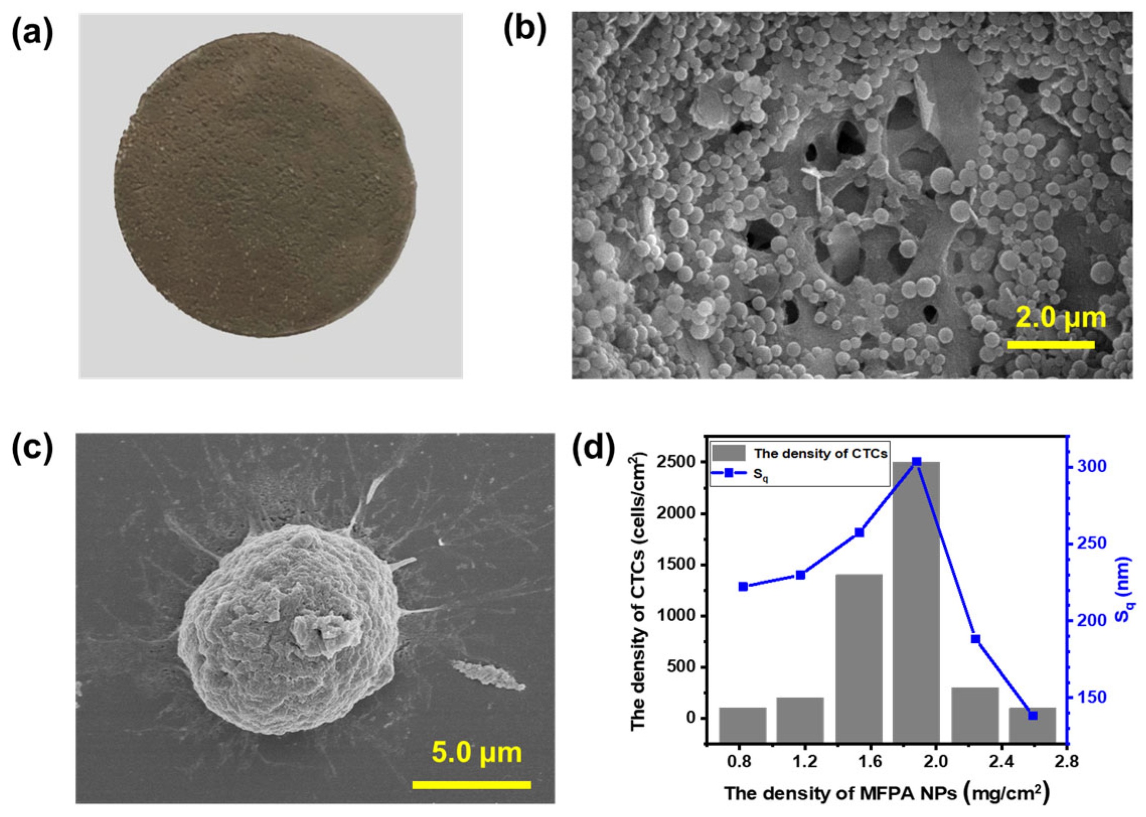 Biosensors 14 00472 g006