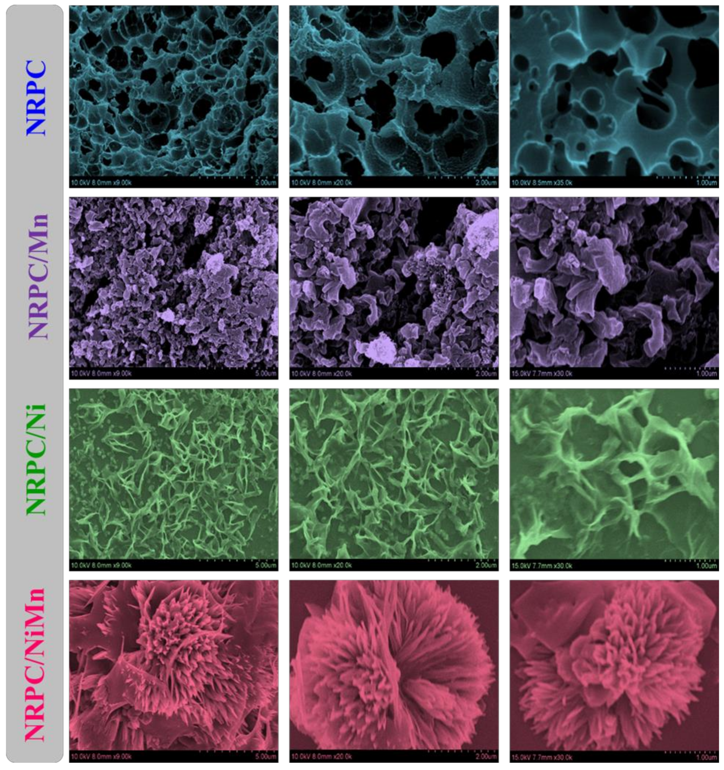 Biosensors 14 00474 g003