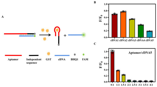 シークエンス3×2 Nerve Growth Factor and the Role of Inflammation in Tumor