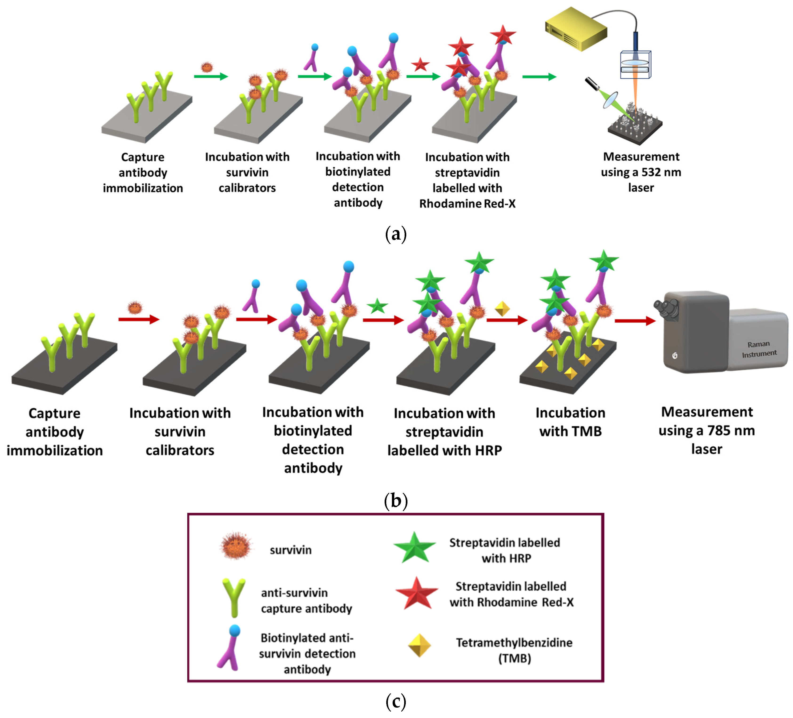 Biosensors 14 00479 g001