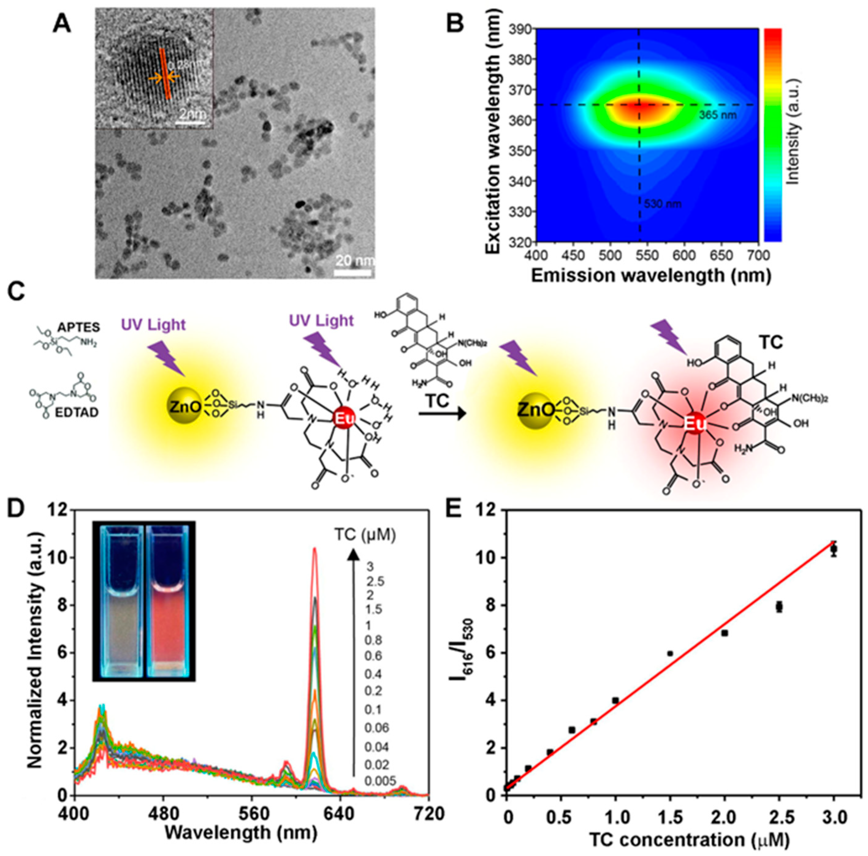 Biosensors 14 00480 g002