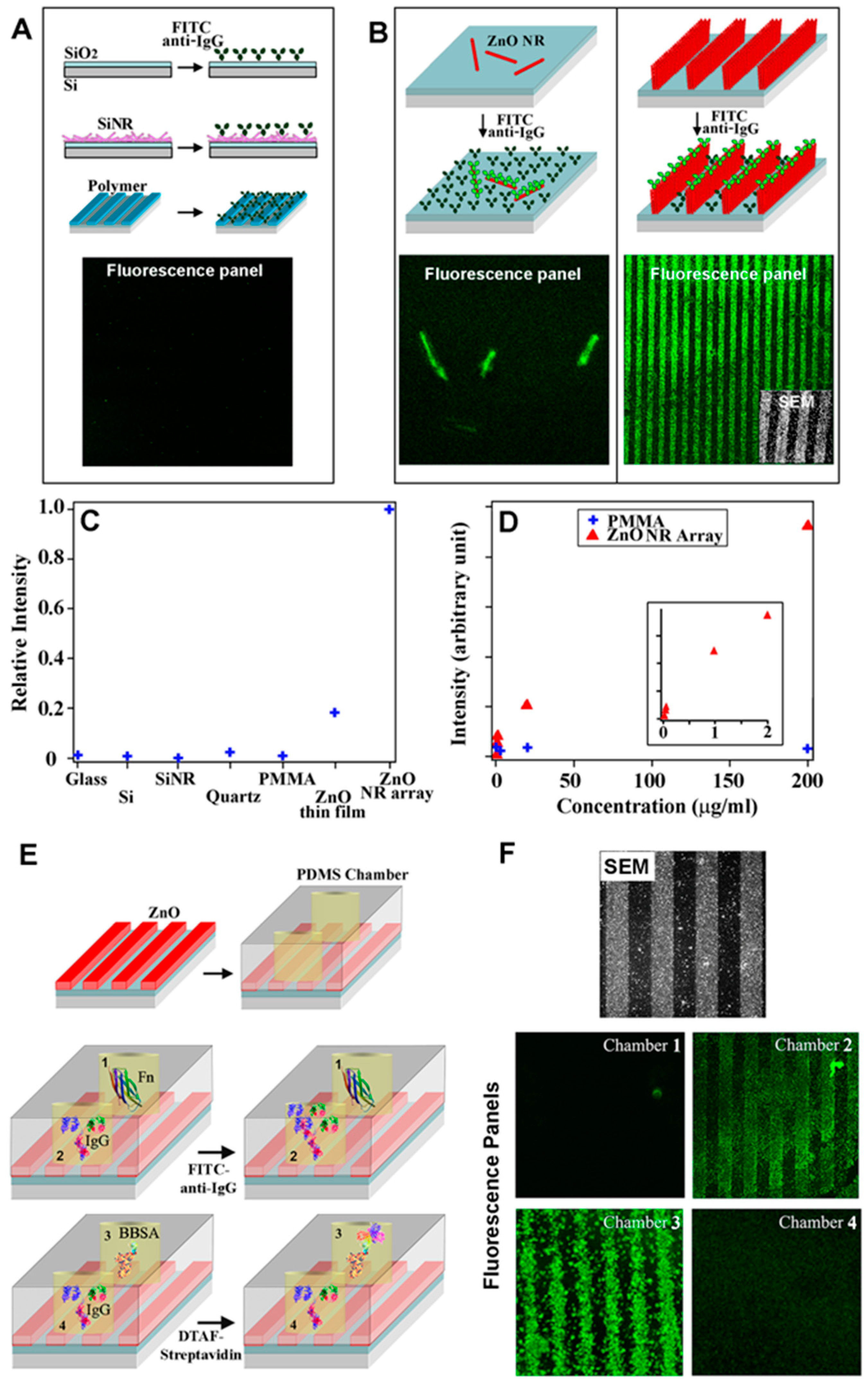 Biosensors 14 00480 g003