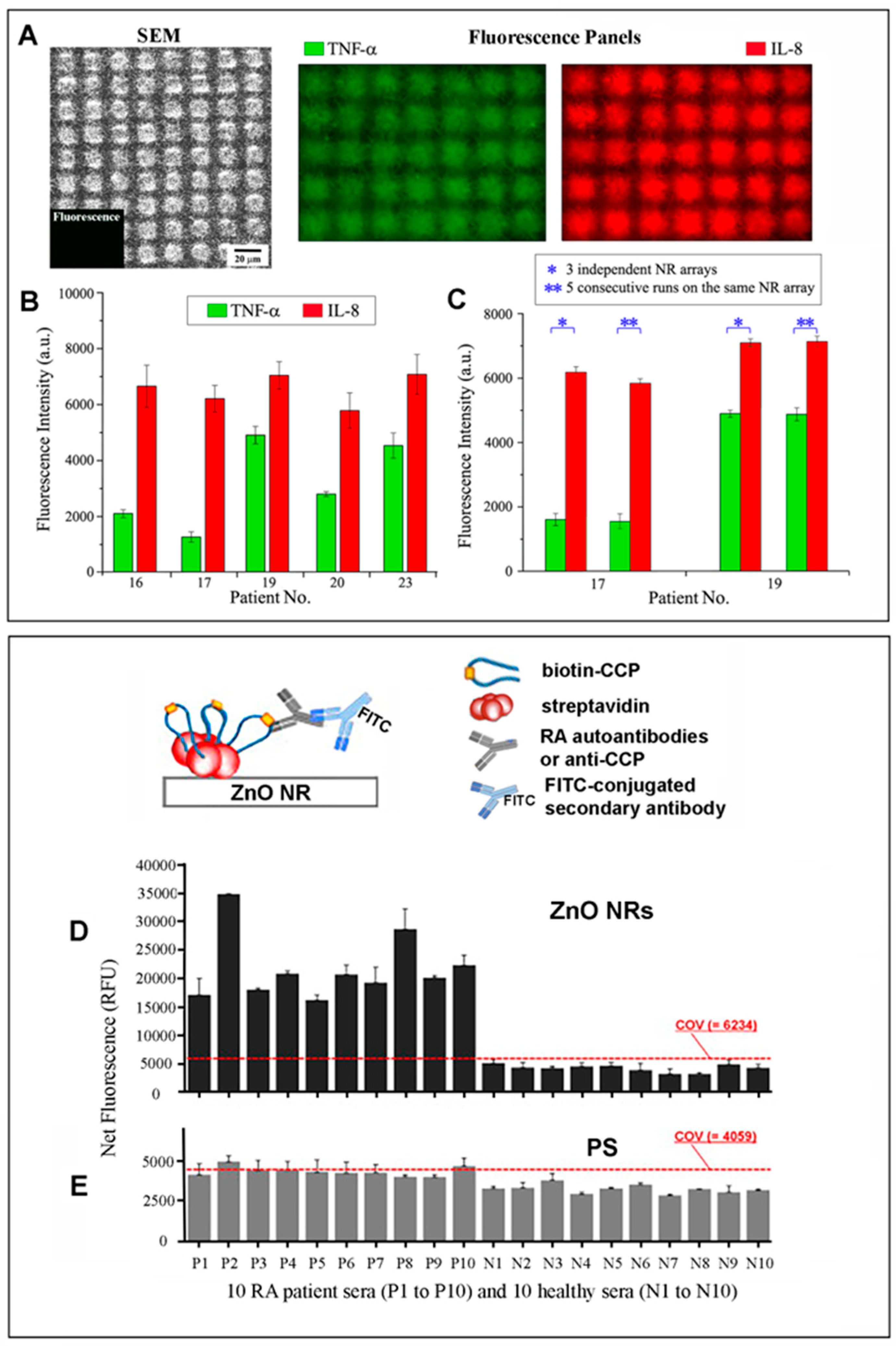 Biosensors 14 00480 g004