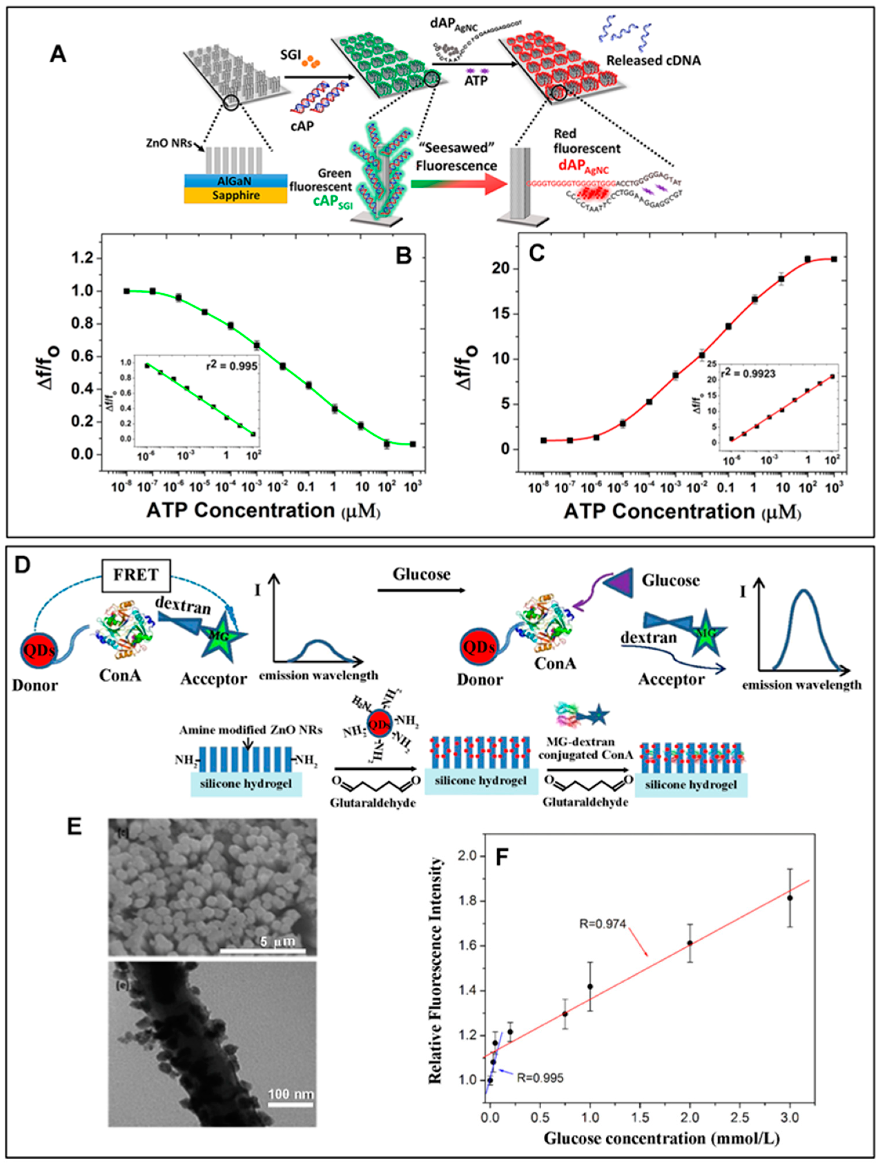 Biosensors 14 00480 g005