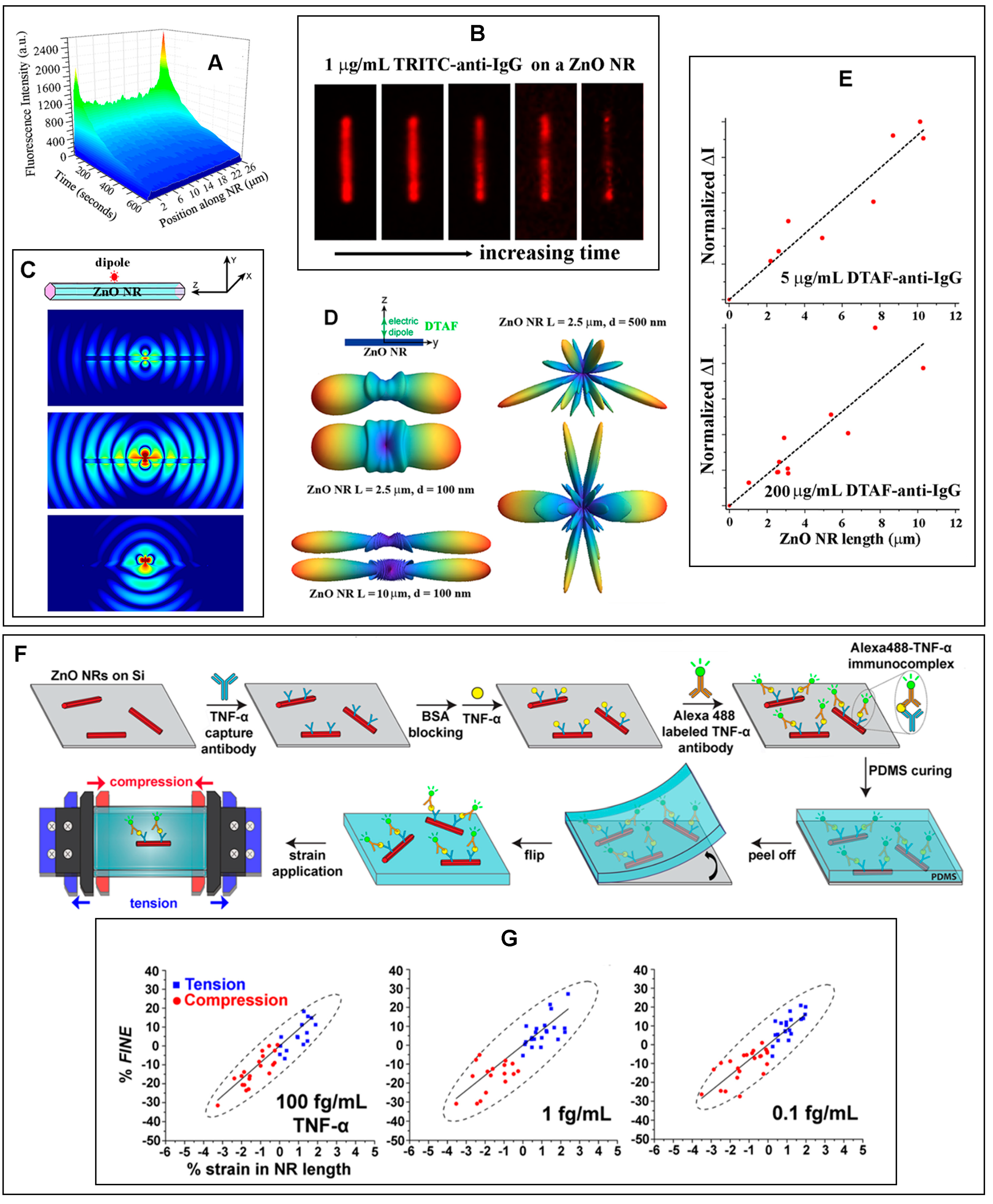 Biosensors 14 00480 g006