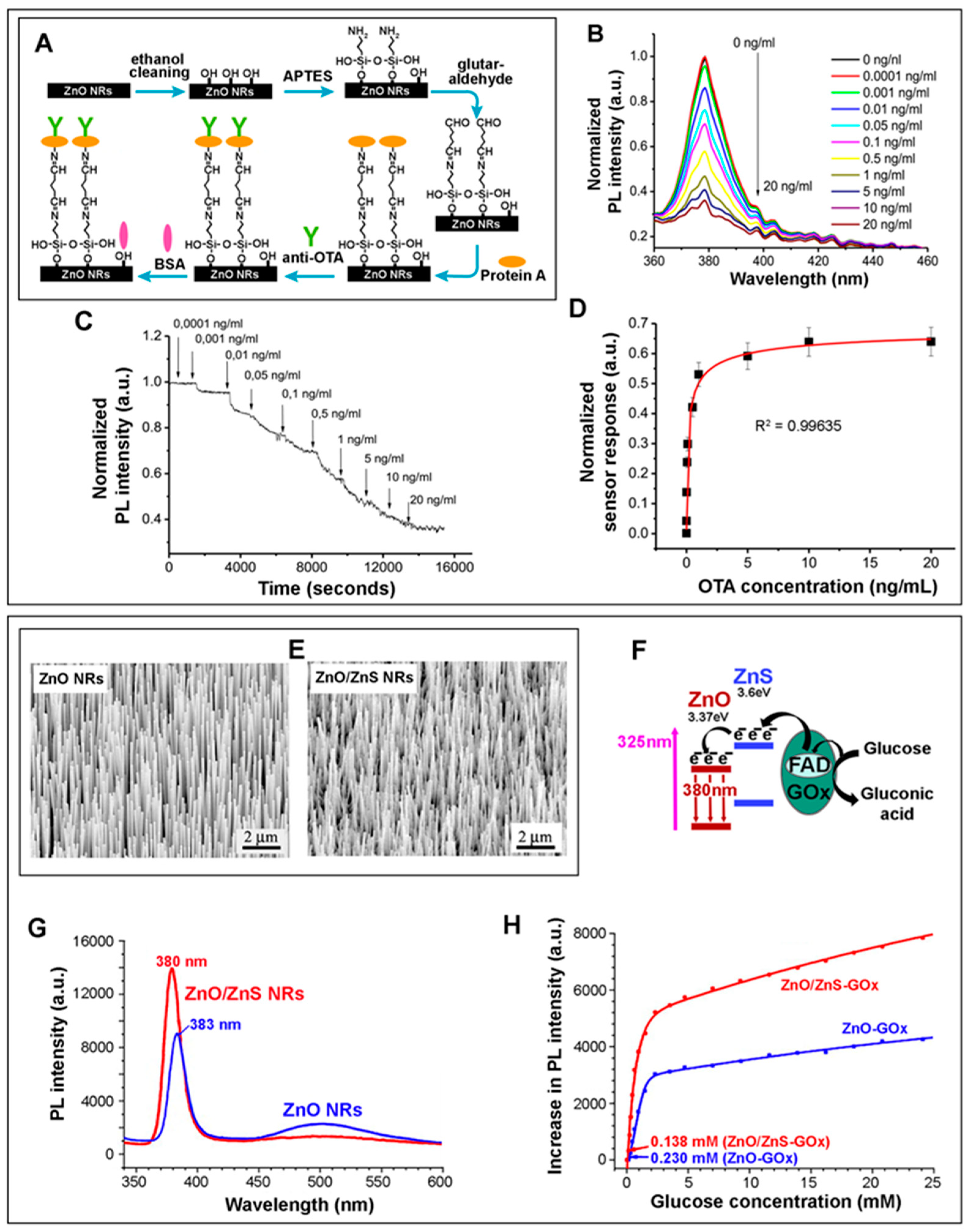 Biosensors 14 00480 g007
