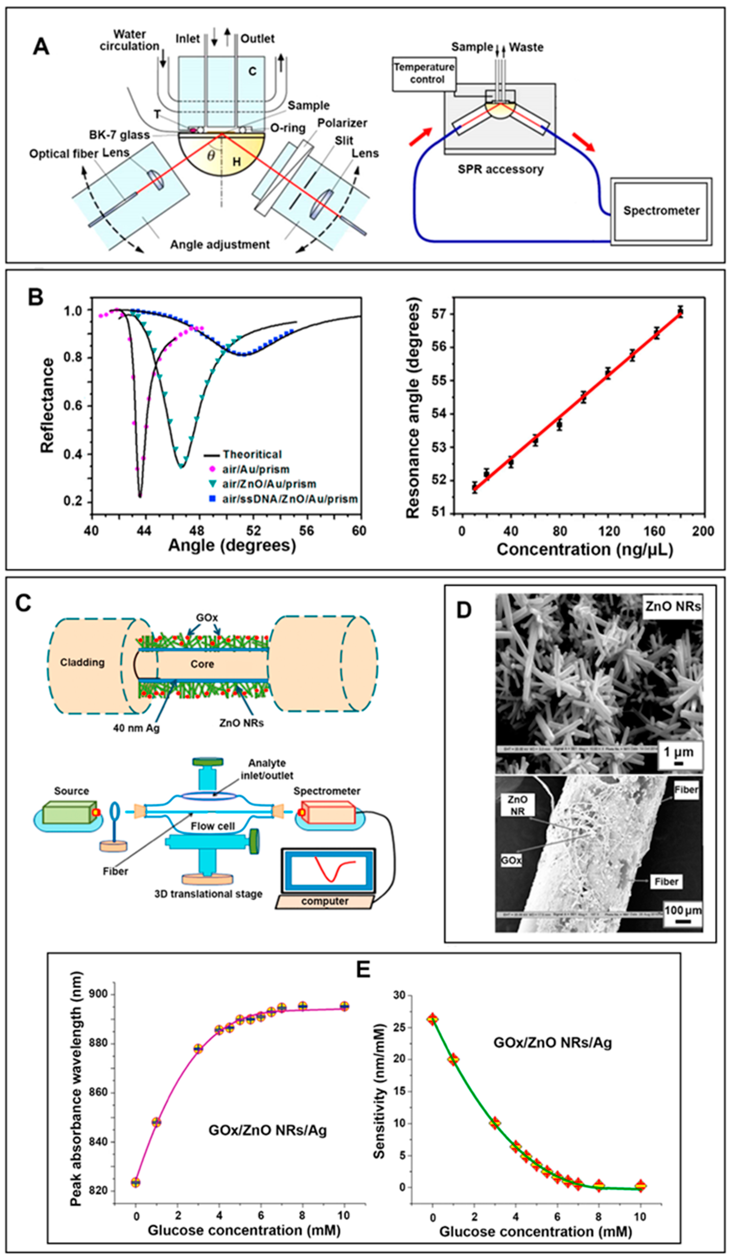 Biosensors 14 00480 g010