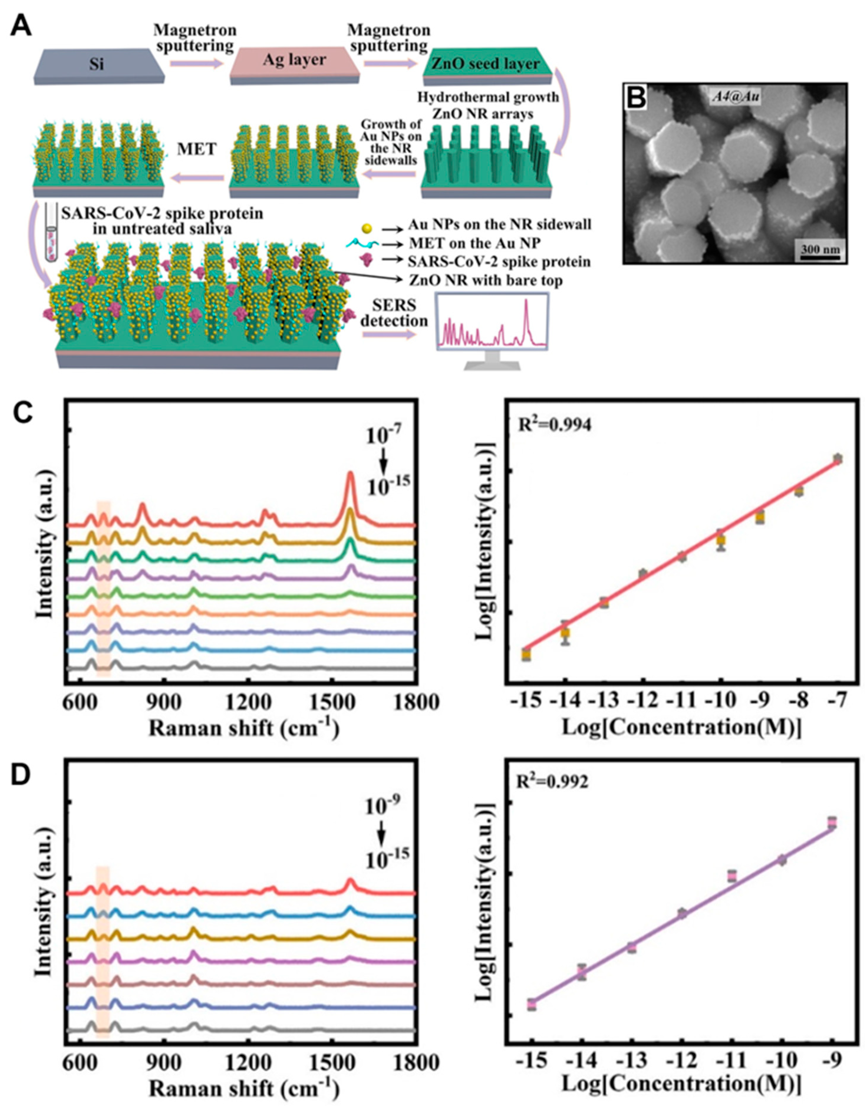 Biosensors 14 00480 g011