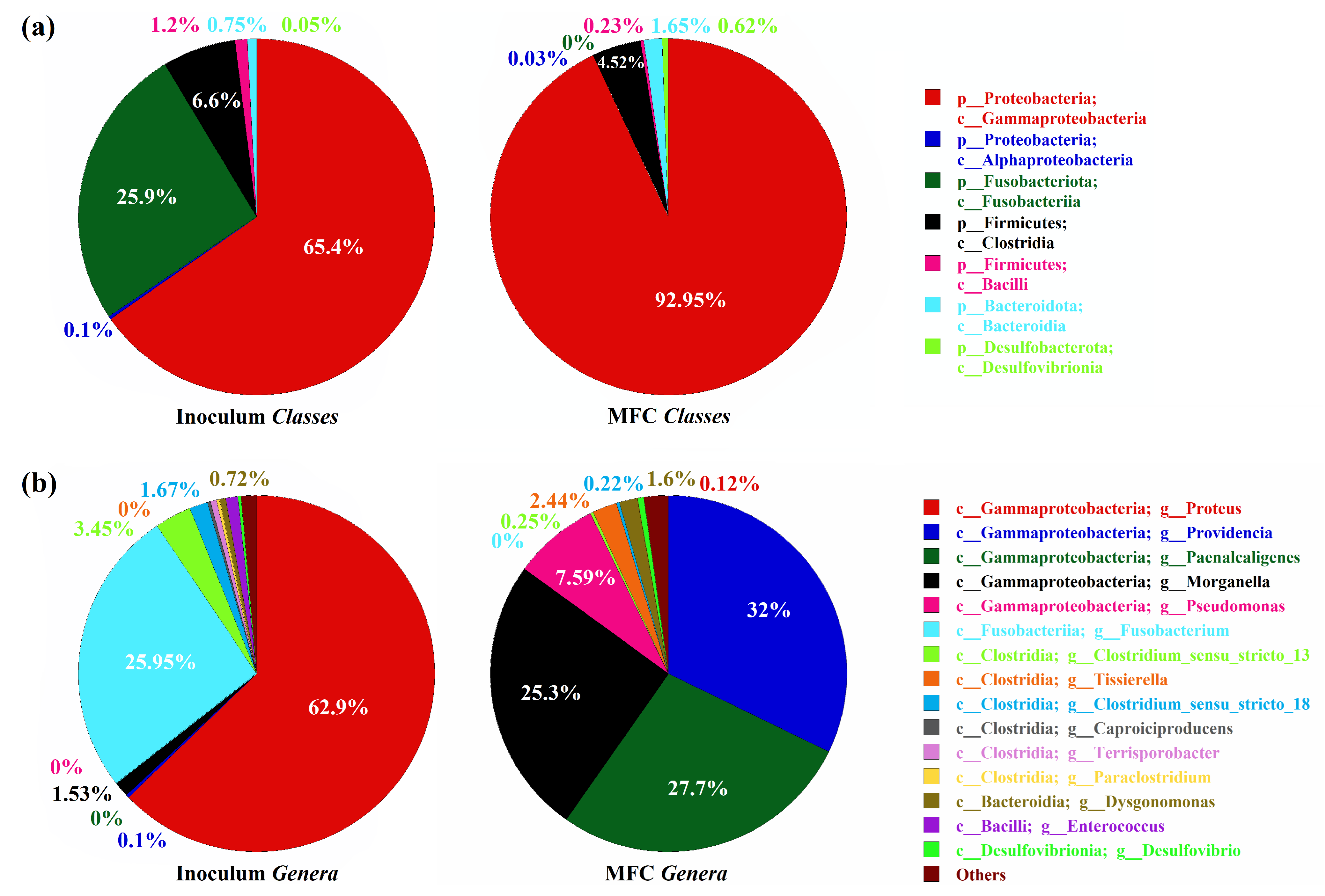 Biosensors 14 00484 g004