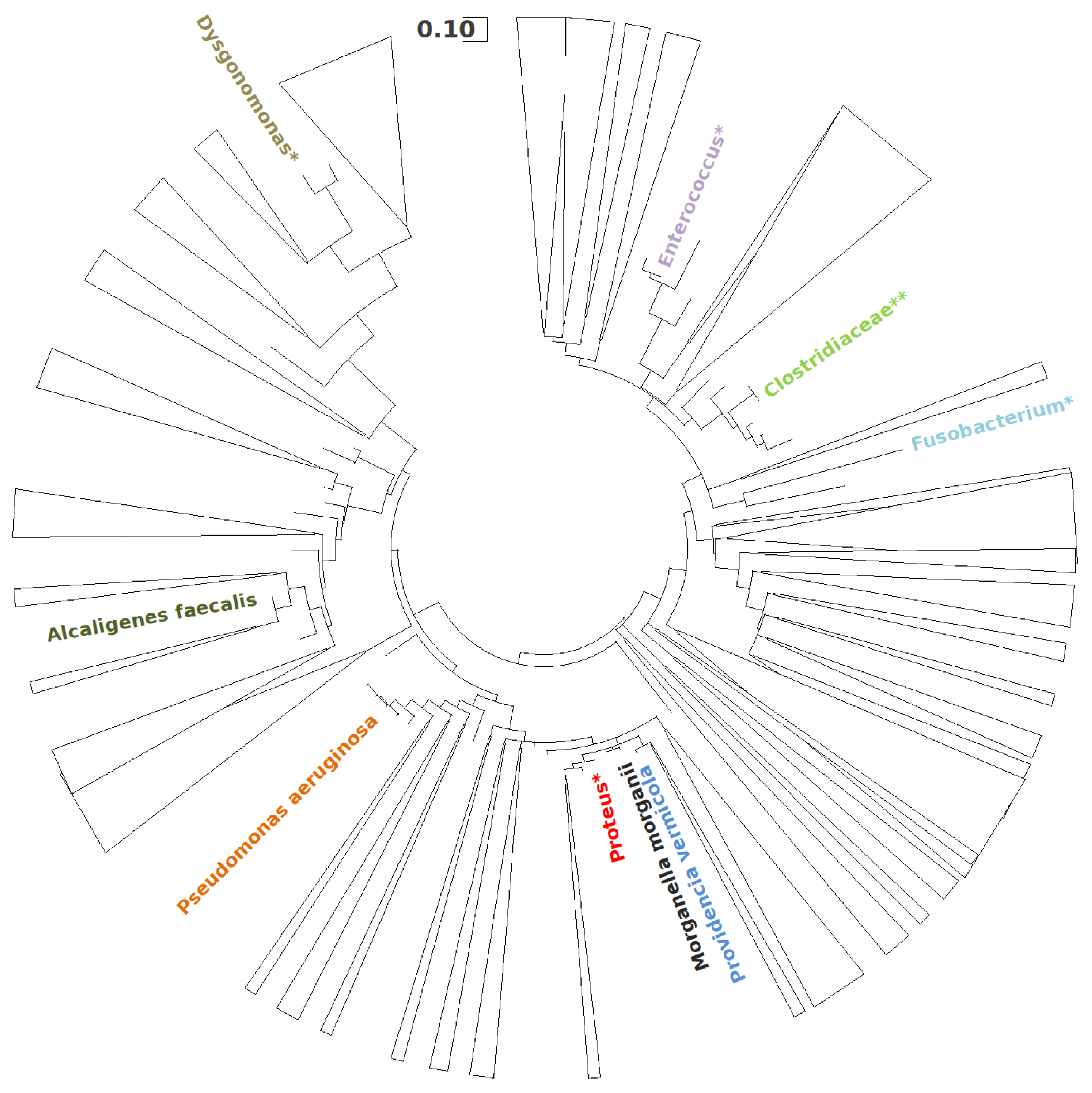 Biosensors 14 00484 g005